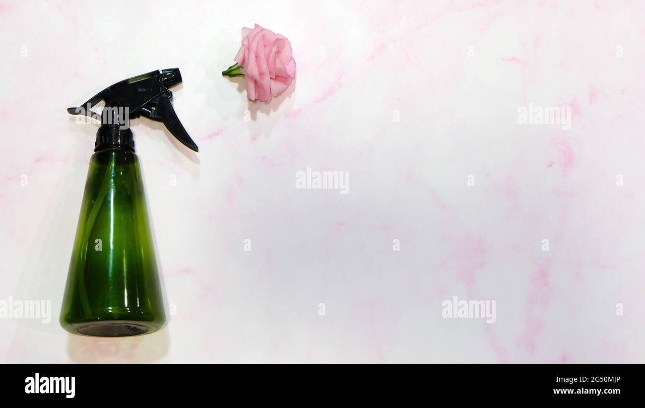 Posa piatta di una bottiglia spray verde, con un fiore rosa che esce dalla bocchetta. Con sfondo in marmo rosa. Foto Stock