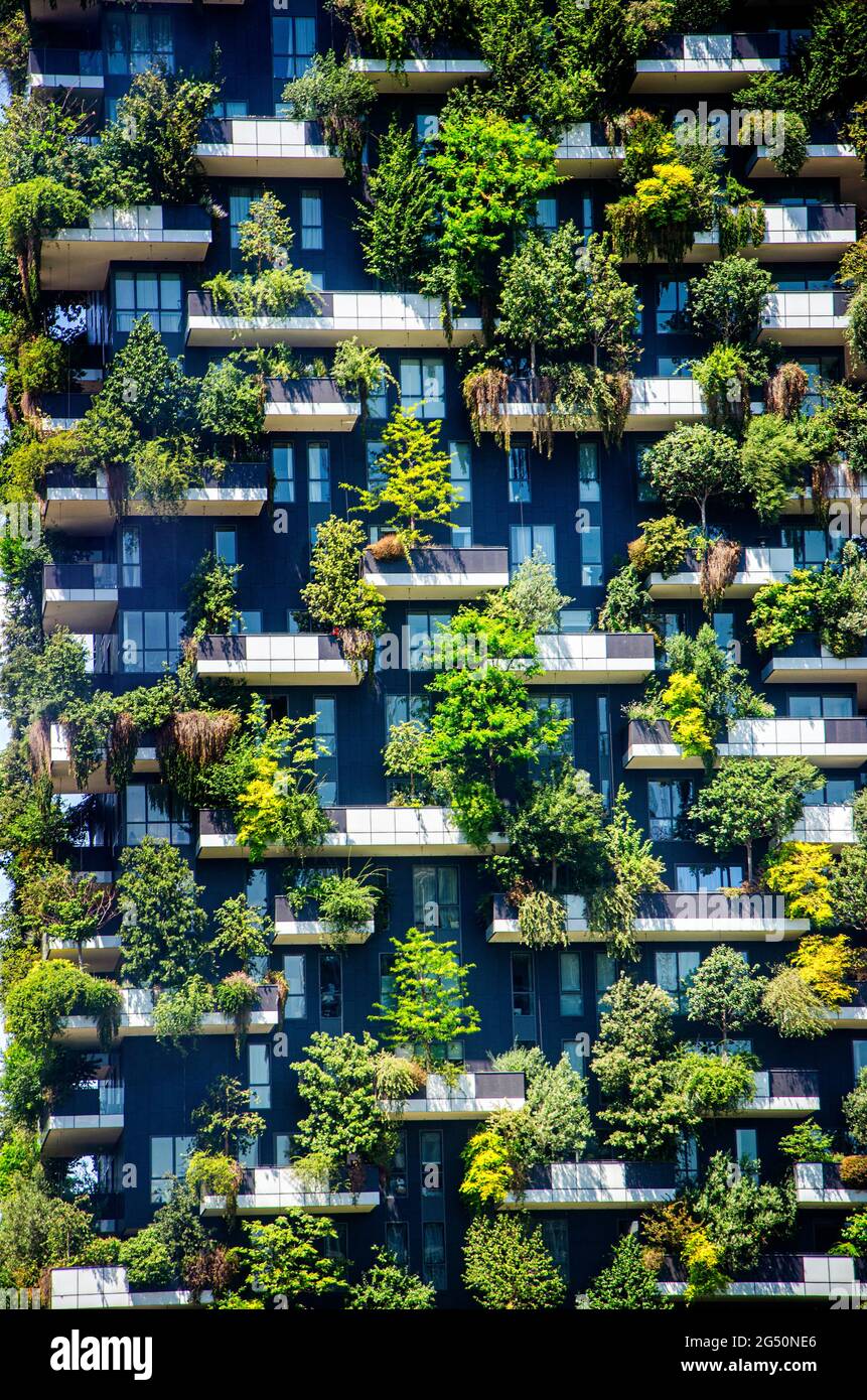 Bosco verticale, Foresta verticale, Milano, residenze grattacieli porta Nuova, Italia. Vista sui balconi e sulle terrazze Foto Stock