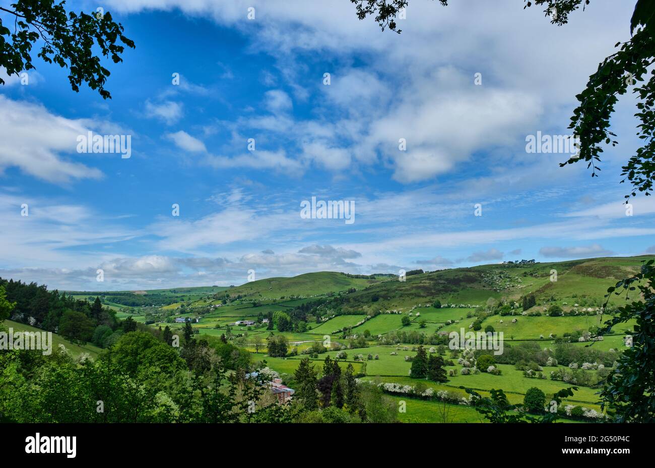 La Valle del Teme vista da Garth Hill, sulla Glyndwr's Way, vicino a Knighton, Powys, Galles. Foto Stock