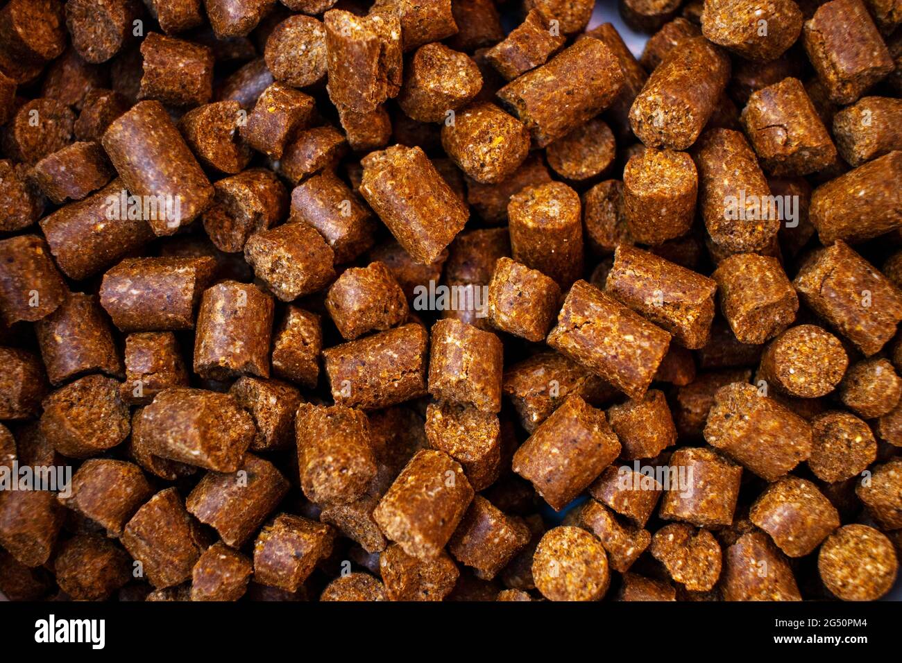 Cibo per cani Foto Stock