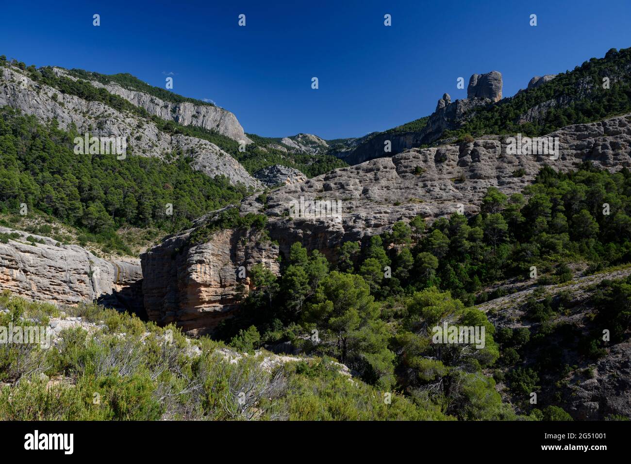 Canyon del fiume Canaletes nel Parco Naturale Els Ports (Terra alta, Tarragona, Catalogna, Spagna) ESP: Barranco del Río Canaletes en los Puertos Foto Stock