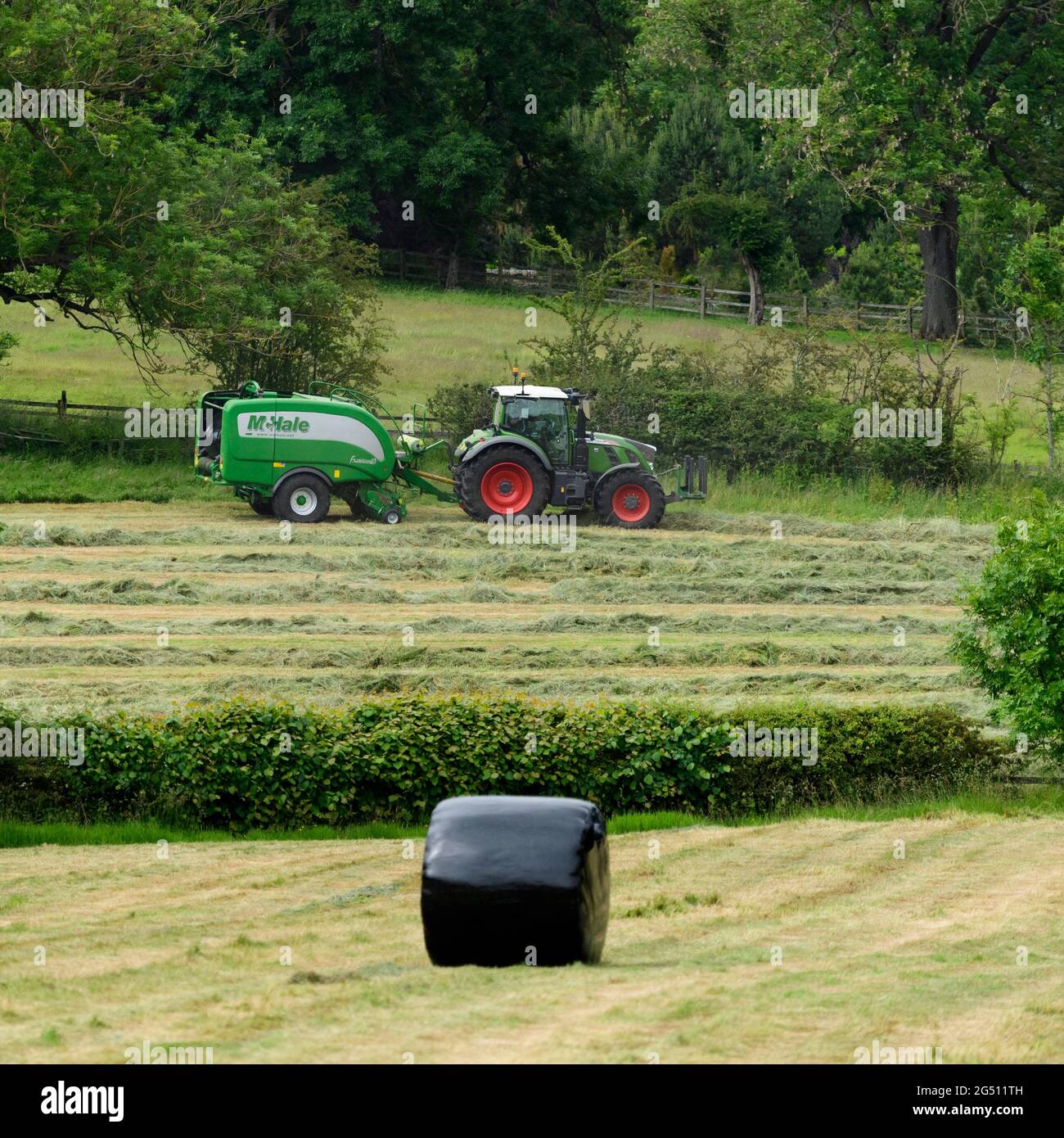 Produzione di fieno o insilato (coltivatore in trattore agricolo sul campo, traino di rotopresse, raccolta di erba secca e balle rotonde nere avvolte - Yorkshire Inghilterra, Regno Unito. Foto Stock