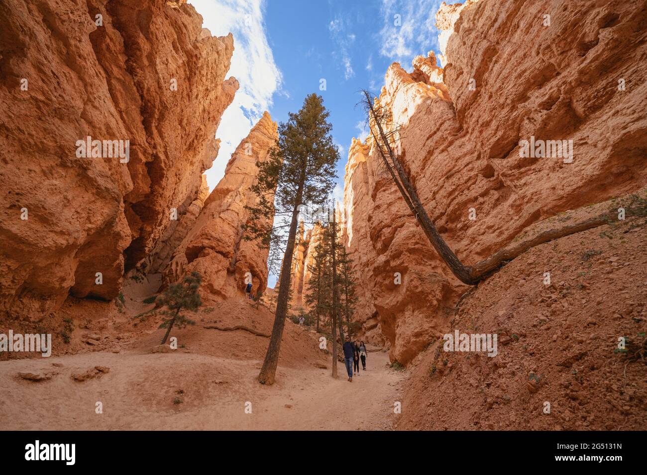 Utah, USA - 15 maggio 2021: Escursionisti lungo il Queens Garden e Navajo Loop Trail nel Bryce Canyon National Park Foto Stock
