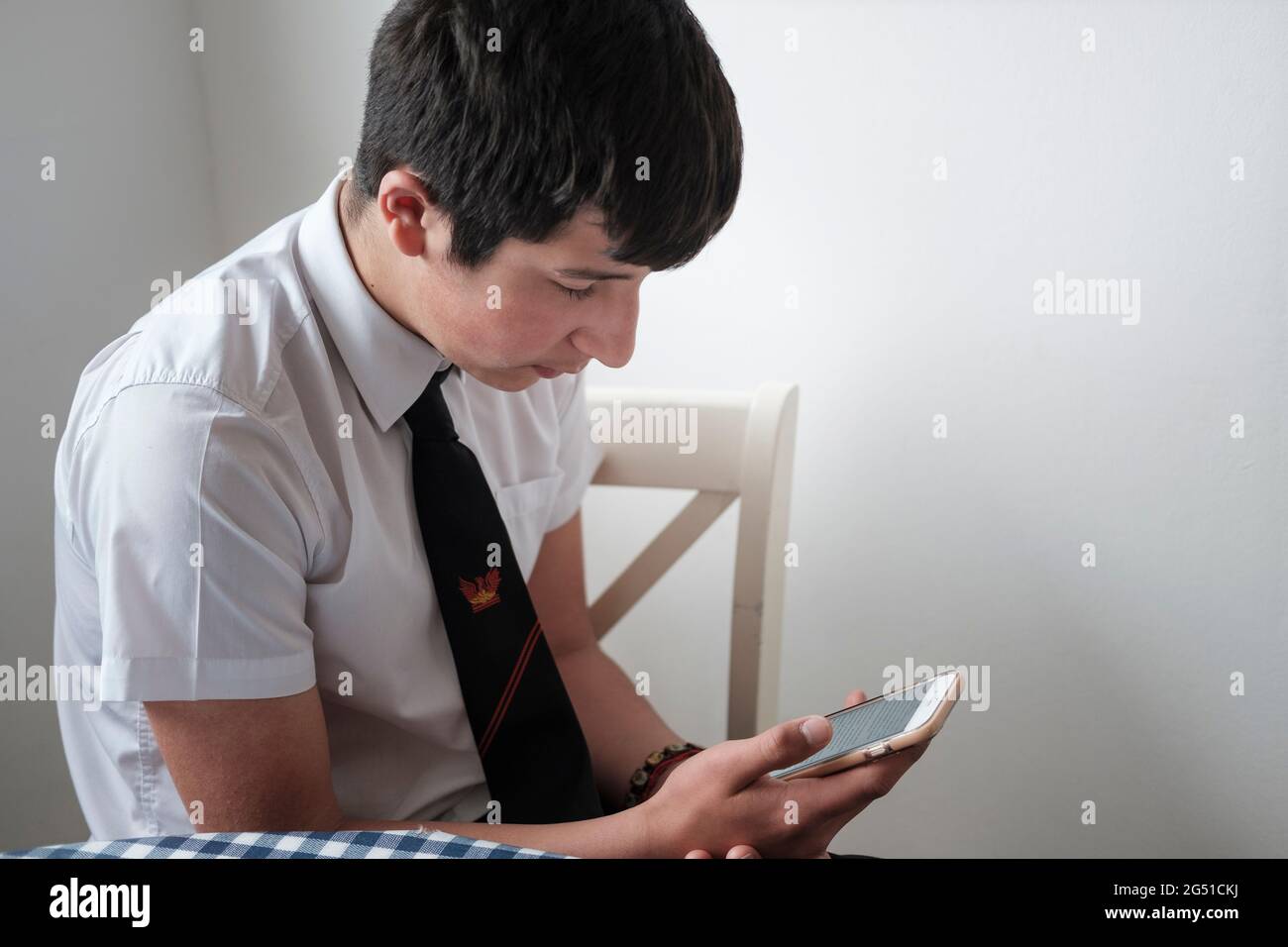 Scolaro secondario, età 14 anni che legge Wickipedia sul suo telefono cellulare Foto Stock