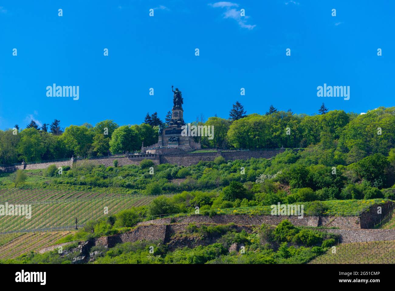 Niederwald Memorial e vigneti a Rüdesheim, famoso villaggio del vino nel paesaggio Rheingau sul Reno, Assia, Germania, Europa Foto Stock