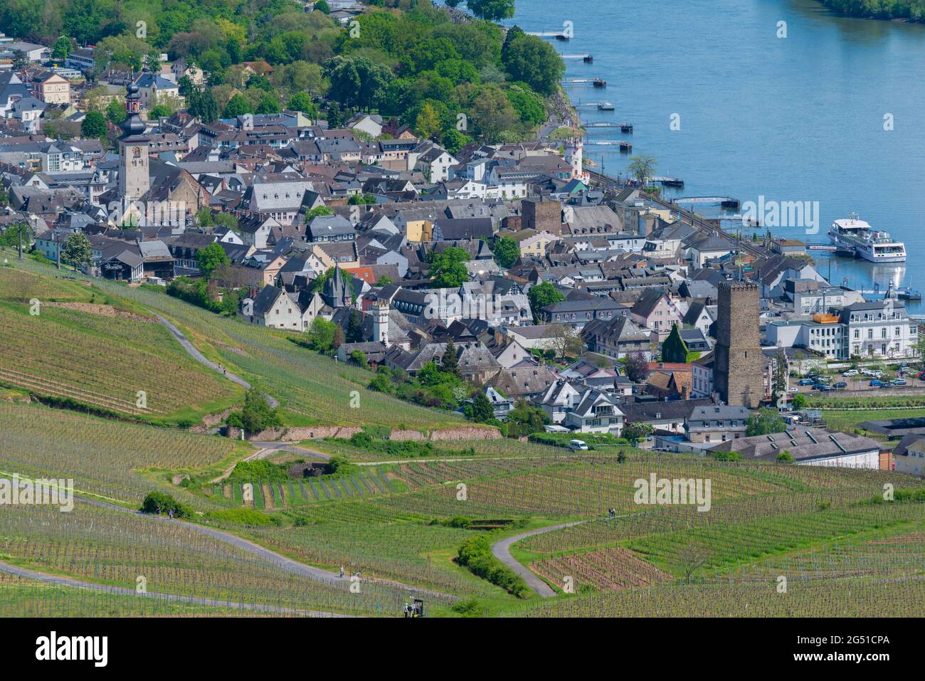 Città e vigneti visti dal Niederwald Memorial, Rüdesheim, famoso villaggio del vino in Rheingau paesaggio sul fiume Reno, Assia, Germania, Europa Foto Stock