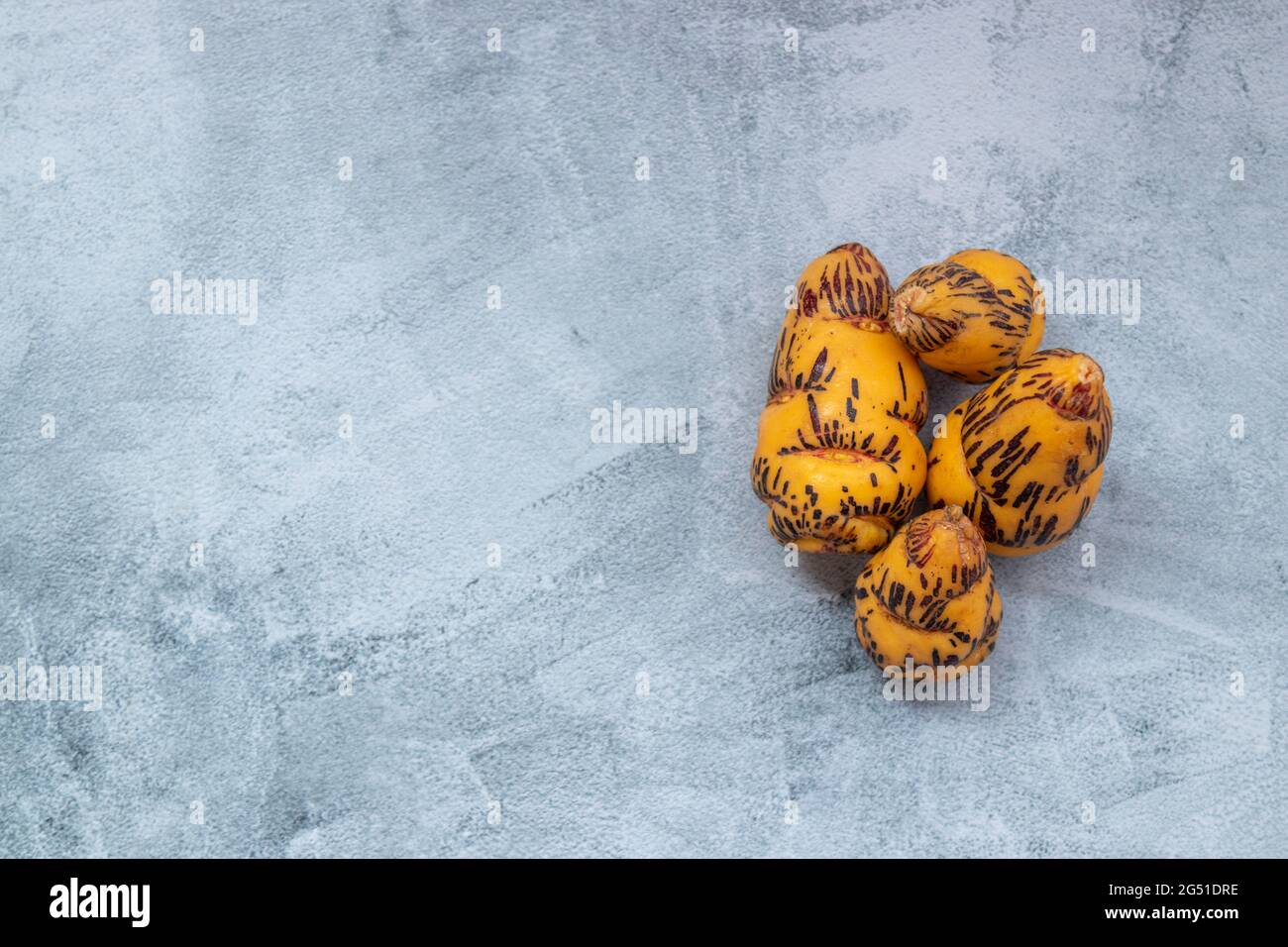 Oca, tubero utilizzato nella cucina peruviana e le Ande americane Foto Stock