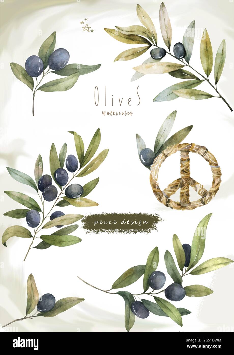 Acquerello annata settore di olive decorative. Set isolato di foglie d'oliva disegnate a mano Foto Stock