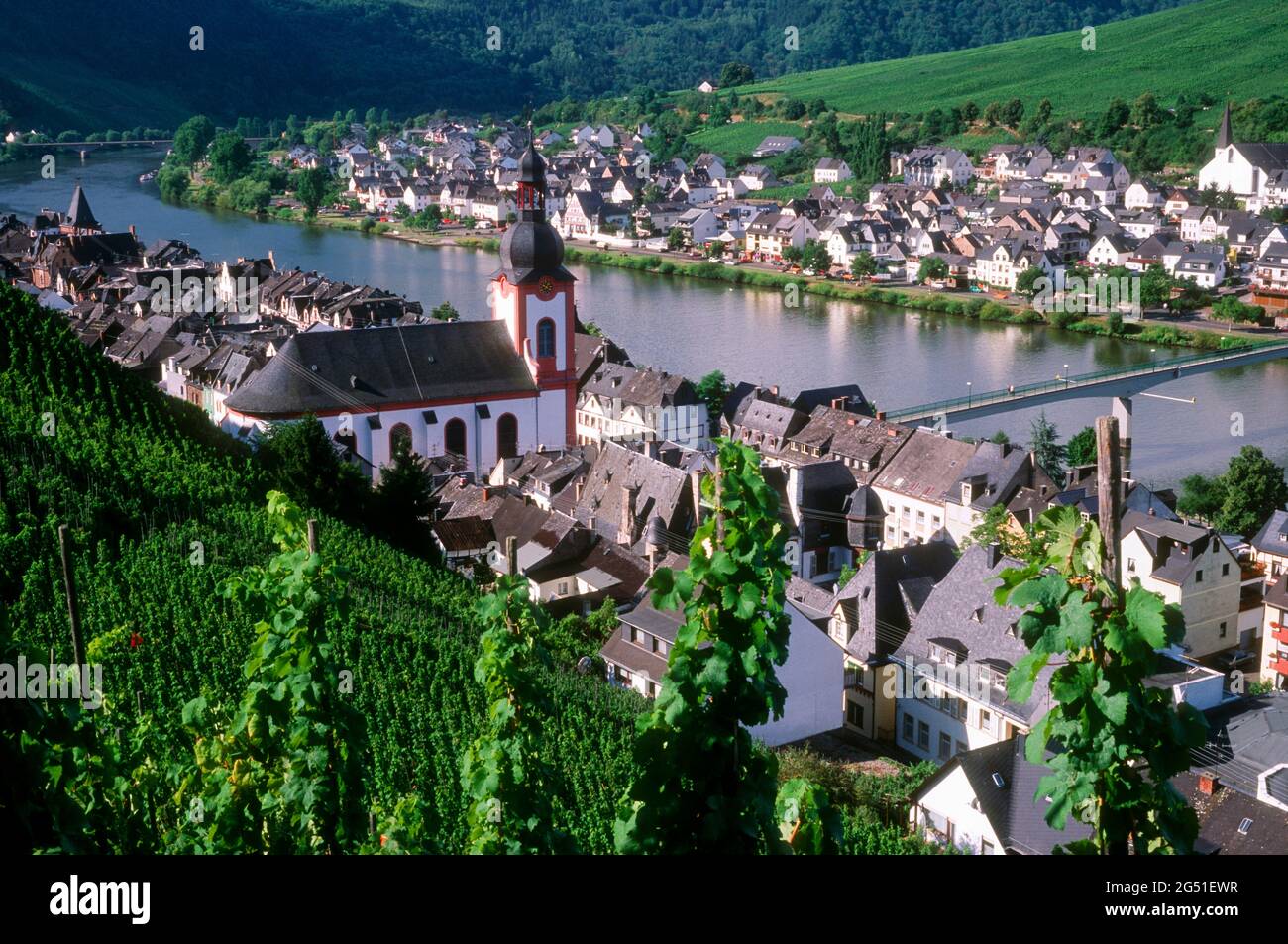Città di Zell e fiume Mosel, Renania-Palatinato, Germania Foto Stock