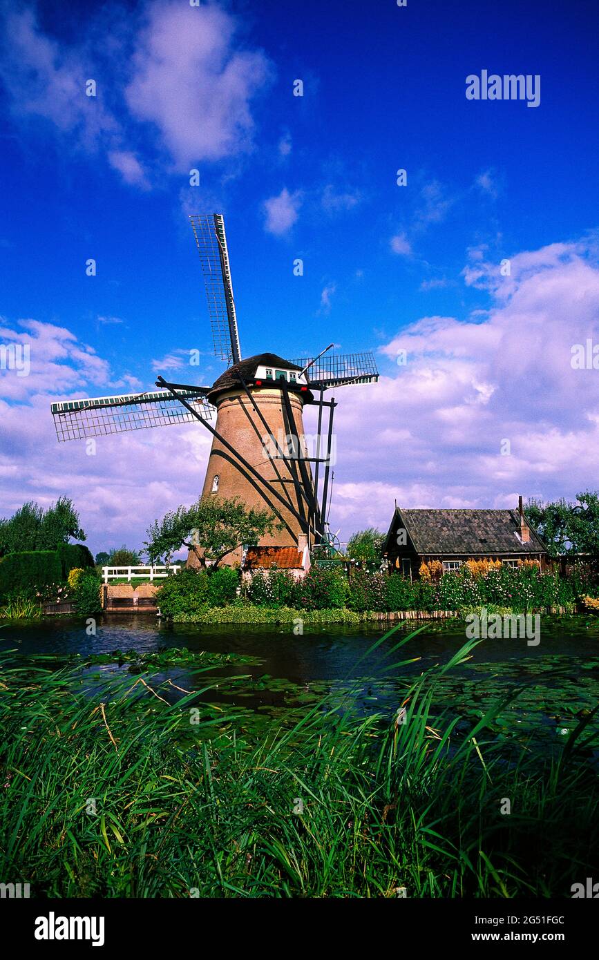 Mulino sotto il cielo blu, Kinderdijk, Olanda del Sud, Paesi Bassi Foto Stock