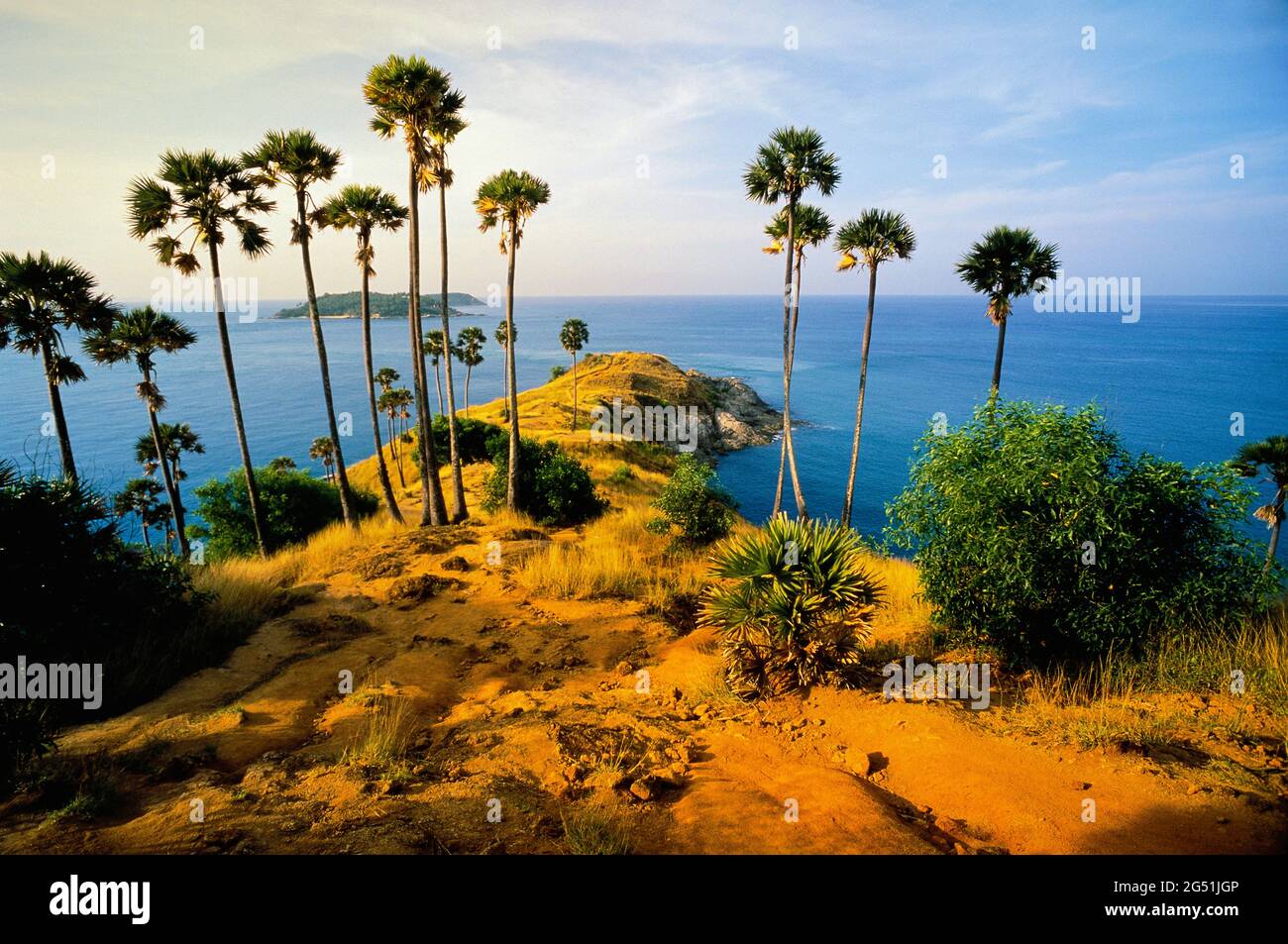 Paesaggio con costa e palme, Capo Promthep, Phuket, Thailandia Foto Stock
