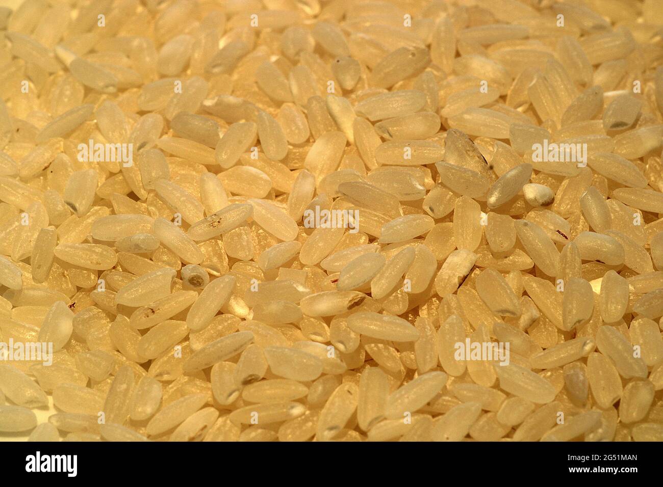 Cucina dispensa grani secchi, fagioli, semi, legumi e lenticchie Foto Stock