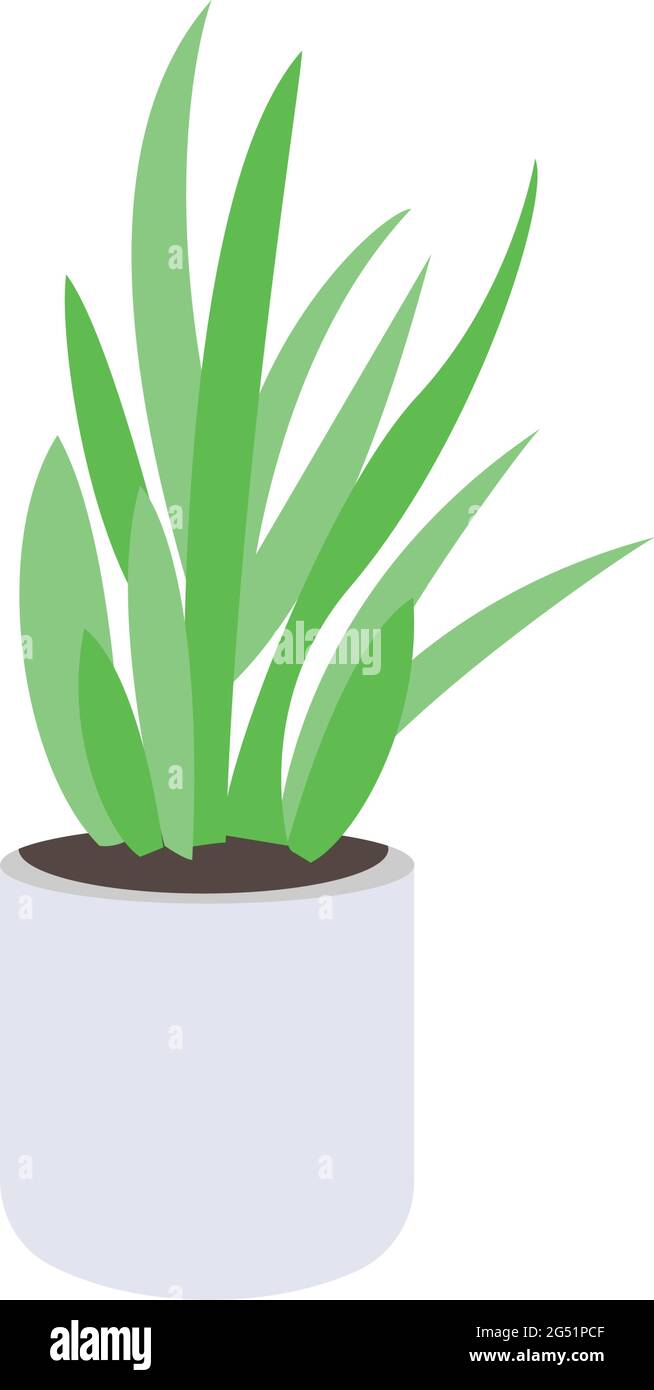 Pianta isolata icona decorazione domestica Illustrazione Vettoriale