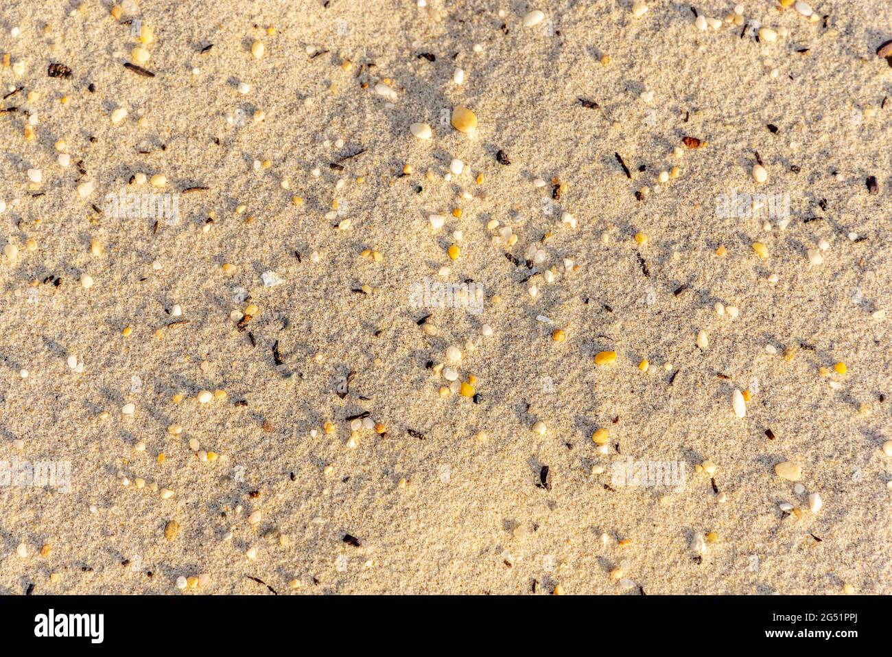 Particolare di sabbia in una spiaggia di Hamptons Foto Stock