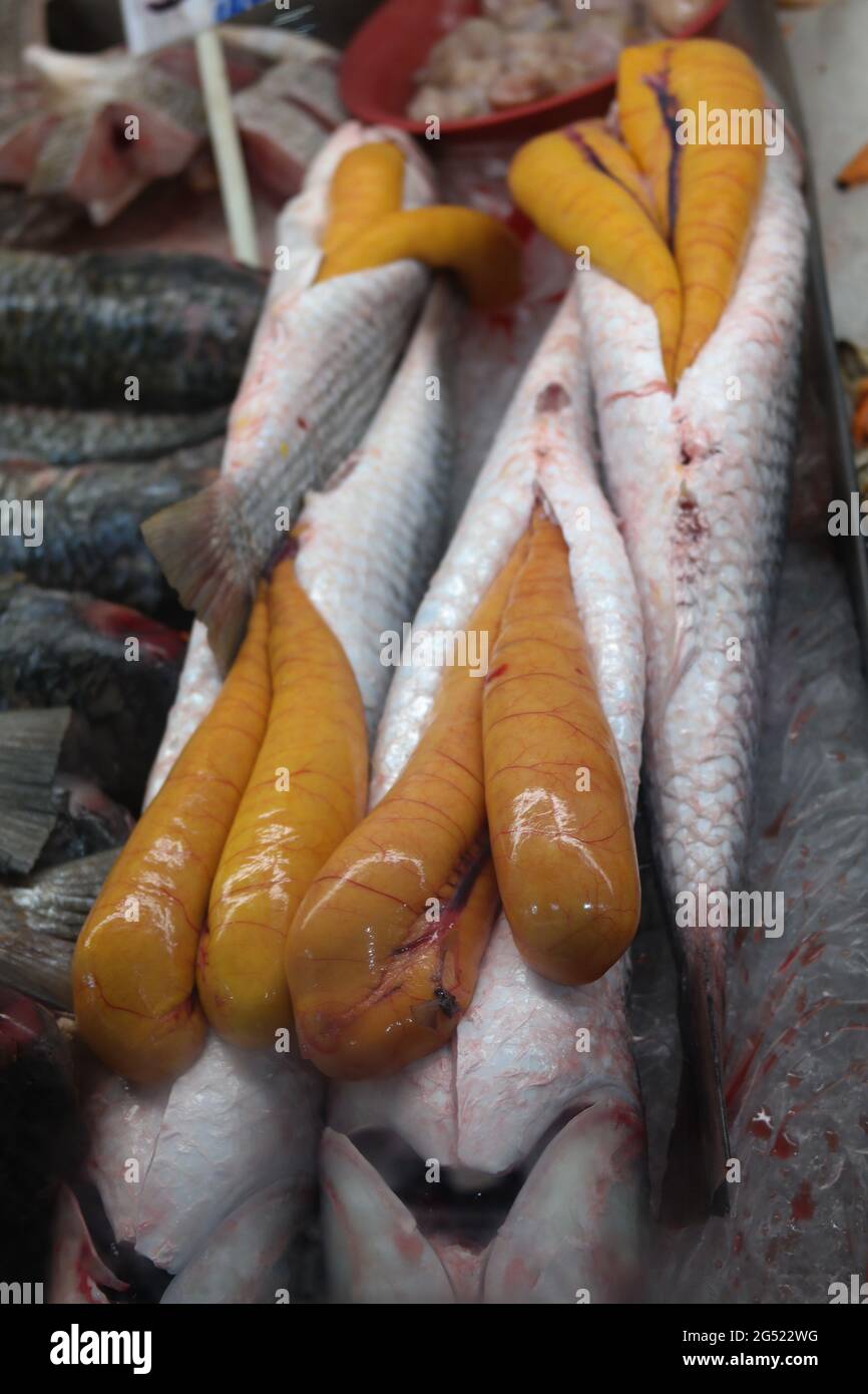 ovas de peixe Foto Stock
