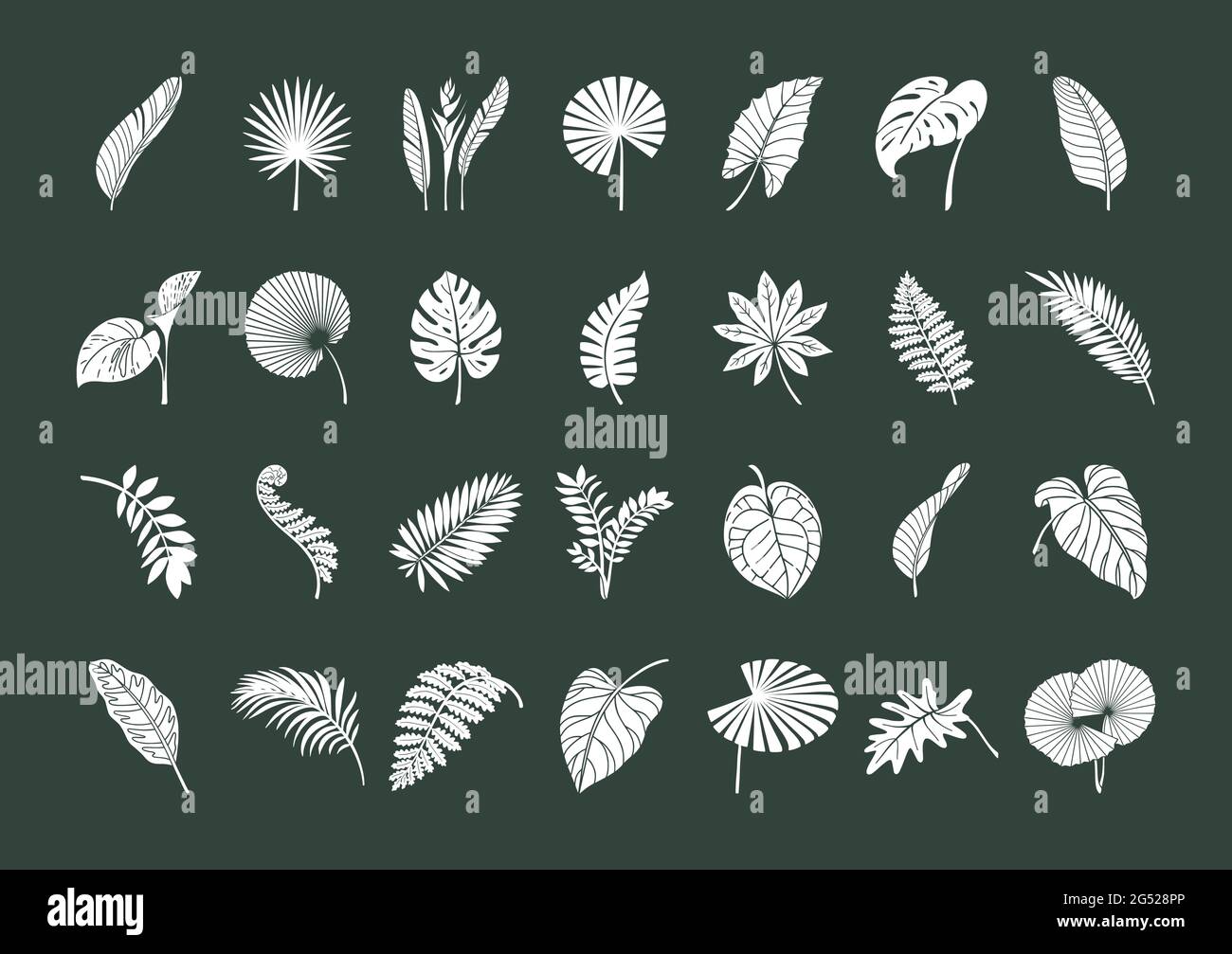 Grande set di foglie tropicali esotiche. Illustrazione Vettoriale