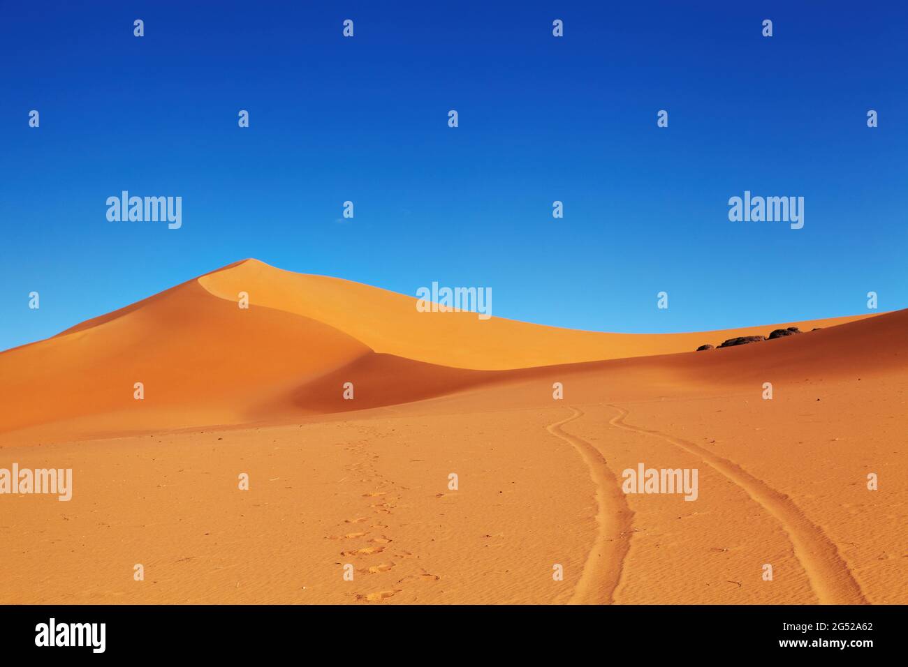 Dune di sabbia nel deserto del Sahara, Algeria Foto Stock
