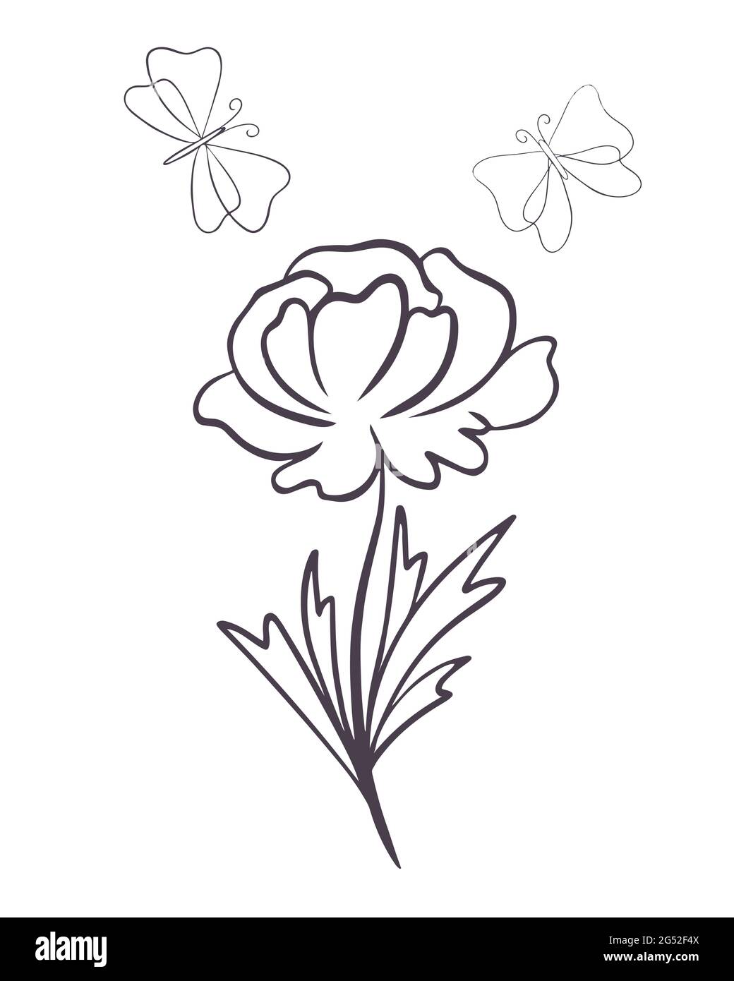 Fiore con farfalle, art. Disegno vettoriale di un fiore con petali e falene in fiore. Disegno a mano botanica naturale concetto. Minimale Illustrazione Vettoriale