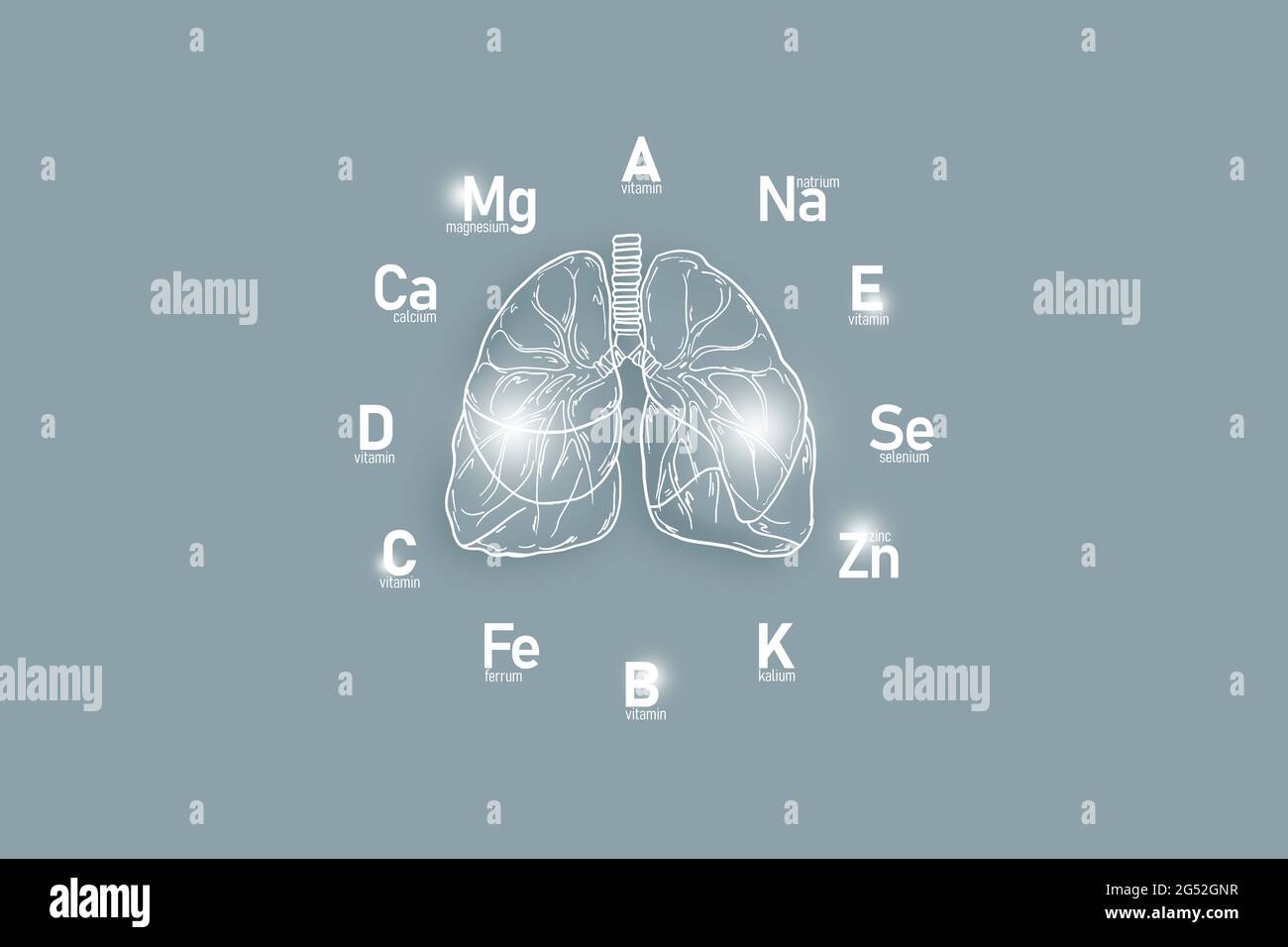 Orologio stilizzato con vitamine essenziali e microelementi per la salute umana, polmoni disegnati a mano, sfondo grigio. Concetto di design per il settore sanitario. Foto Stock