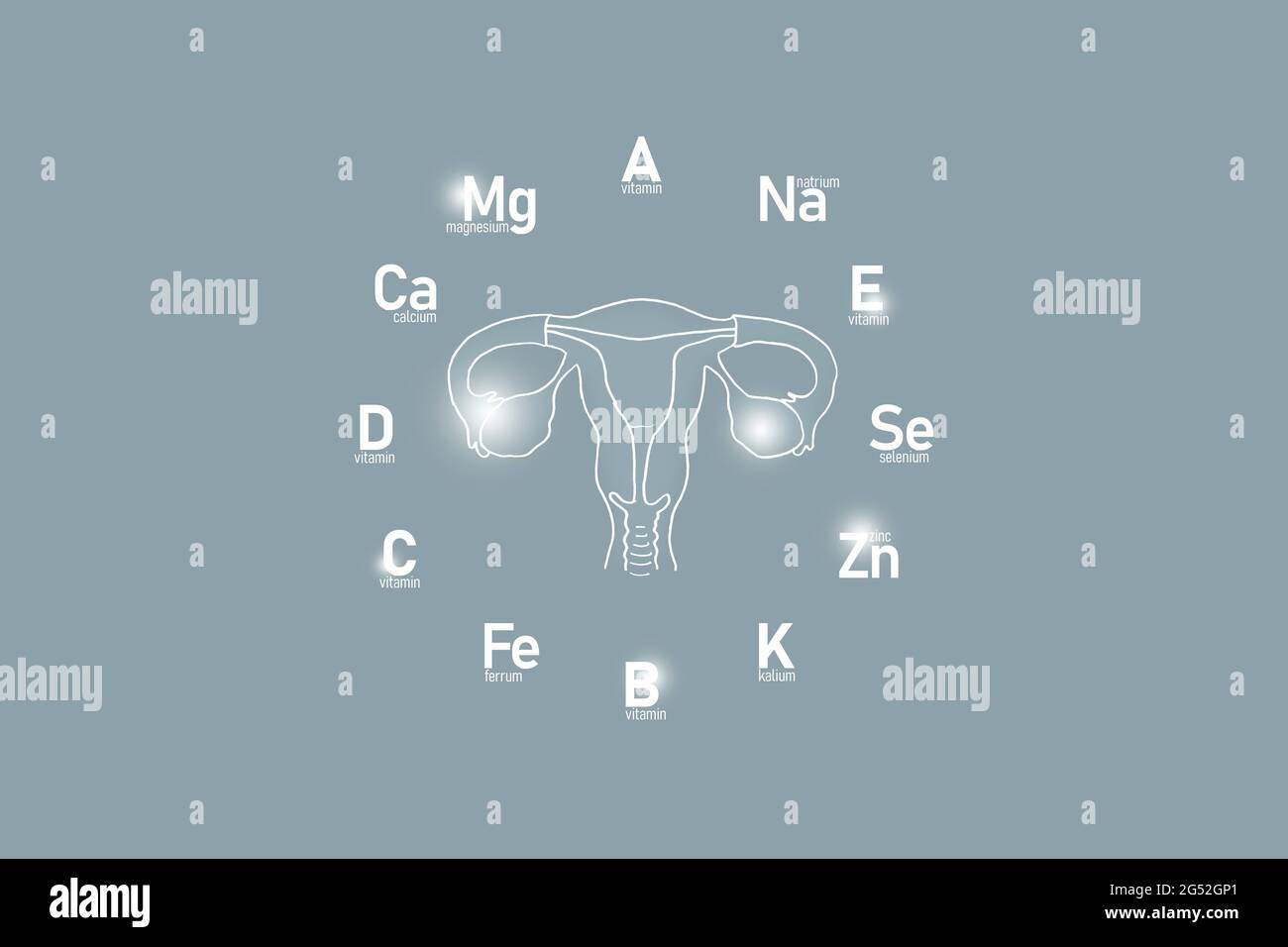 Orologio stilizzato con vitamine essenziali e microelementi per la salute umana, utero disegnato a mano, sfondo grigio. Concetto di design per il settore sanitario. Foto Stock