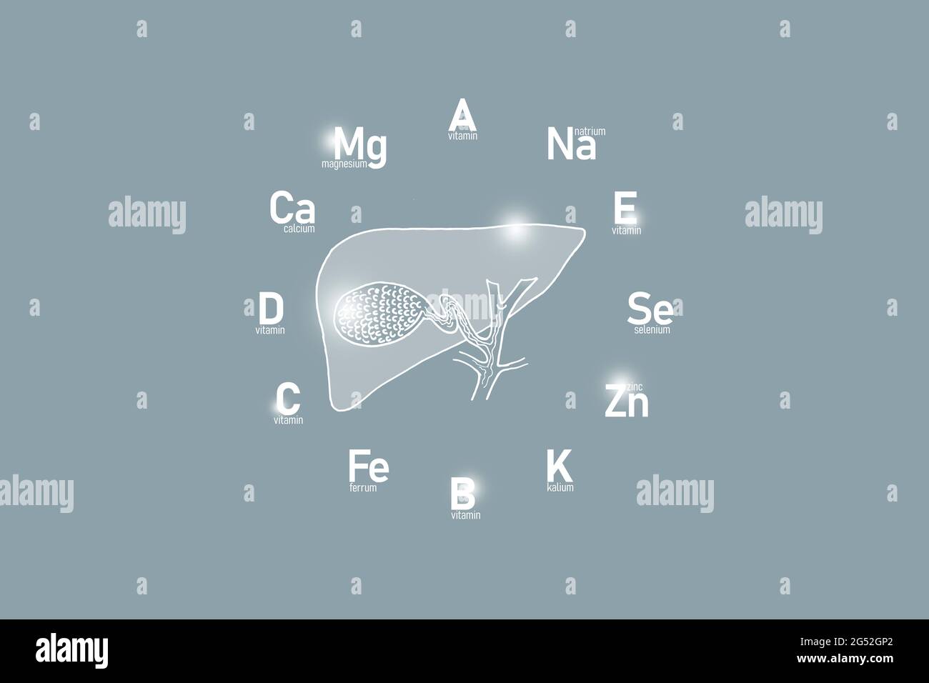 Orologio stilizzato con vitamine essenziali e microelementi per la salute umana, camera d'aria con disegno a mano, sfondo grigio. Concetto di assistenza sanitaria Foto Stock