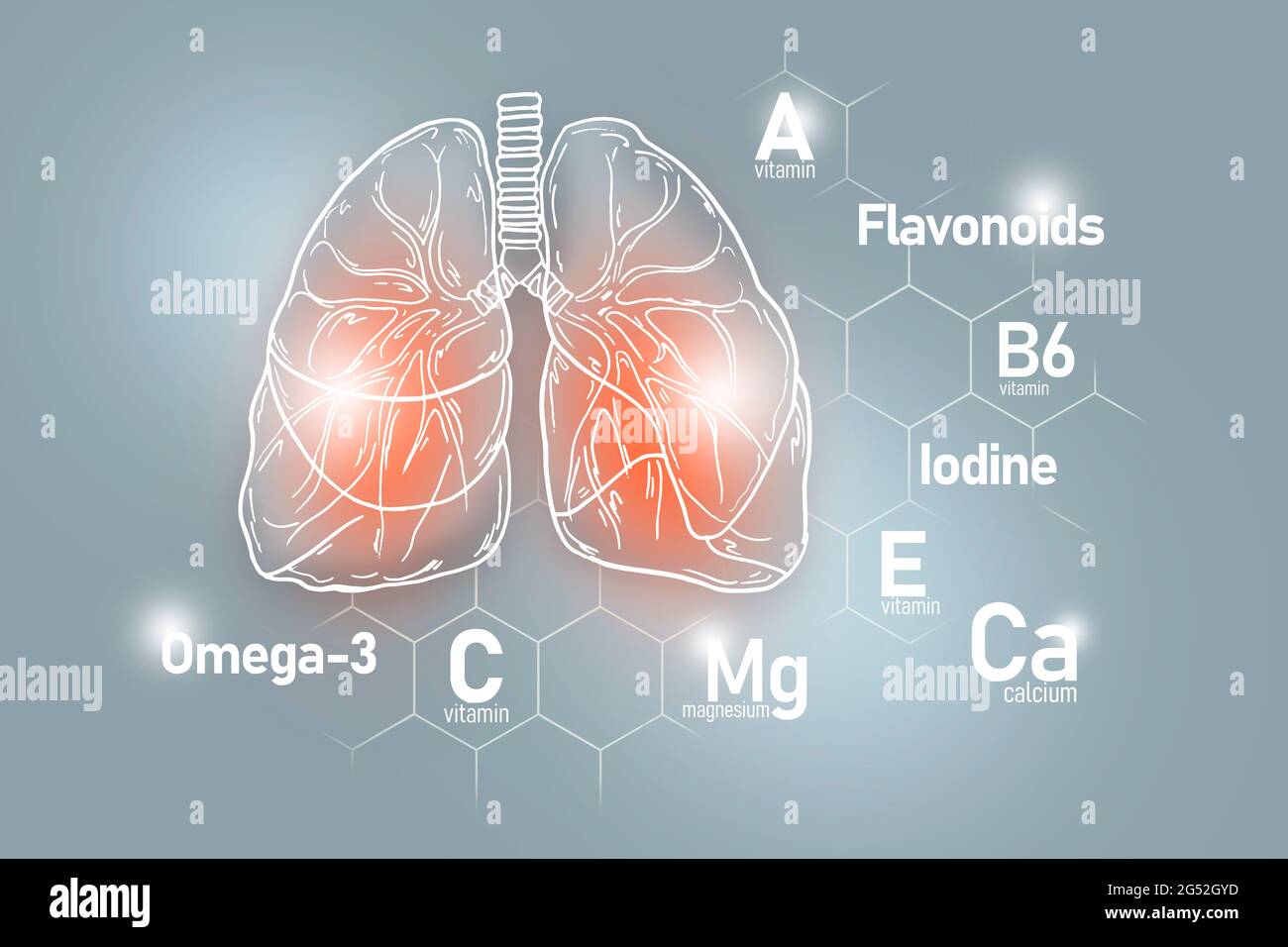 Nutrienti essenziali per la salute dei polmoni, tra cui Omega-3, flavonoidi, magnesio, iodio. Insieme di disegno dei principali organi umani con le vitamine Foto Stock