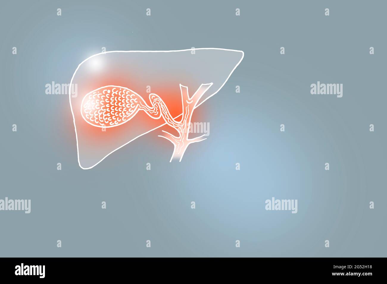 Illustrazione Handrawn della vescica di gallina umana su sfondo grigio chiaro. Set medico-scientifico con i principali organi umani con spazio di copia vuoto per il testo Foto Stock
