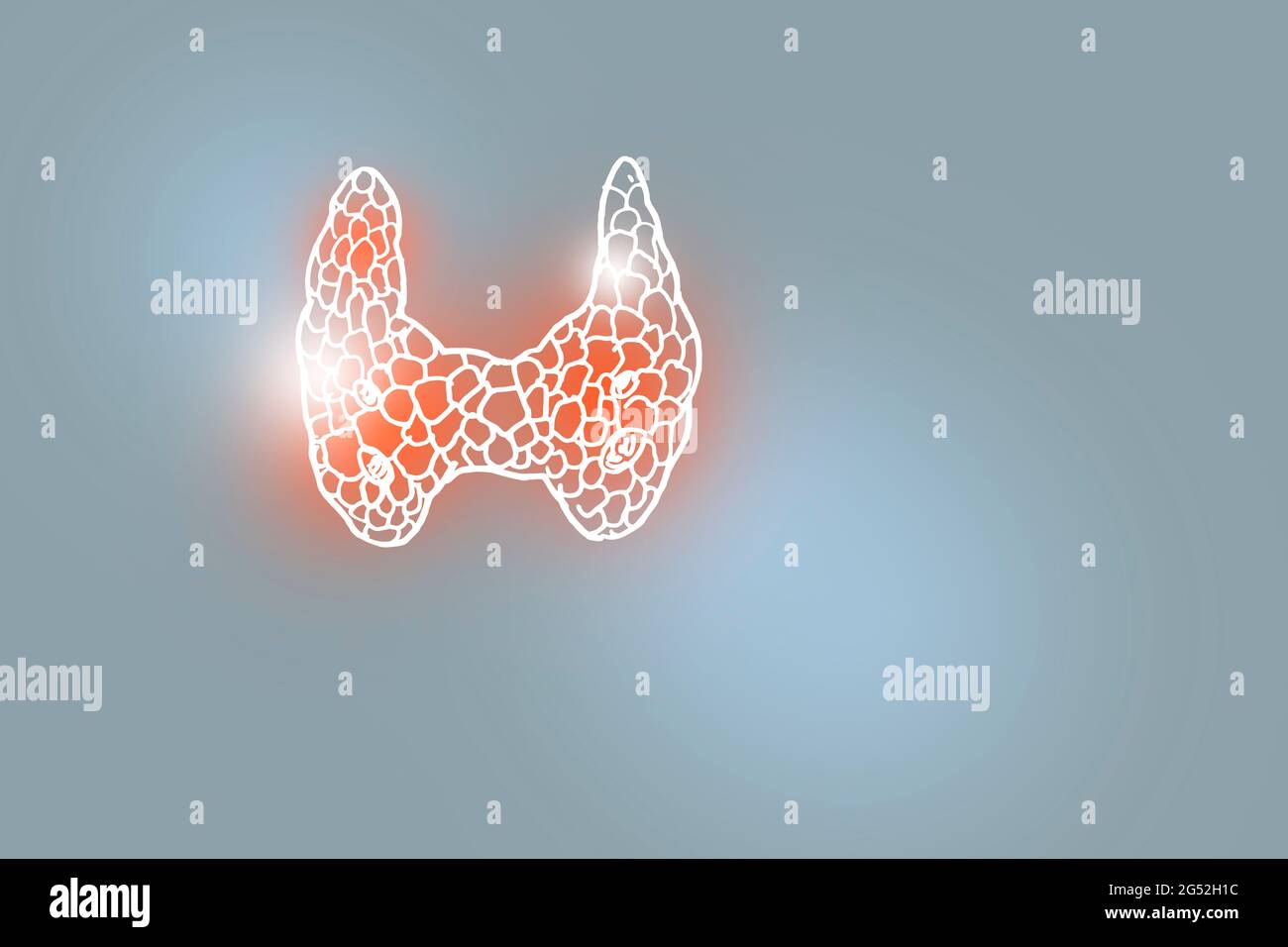 Illustrazione Handrawn della ghiandola tiroidea umana su sfondo grigio chiaro. Set medico-scientifico con i principali organi umani con spazio di copia vuoto per il testo Foto Stock