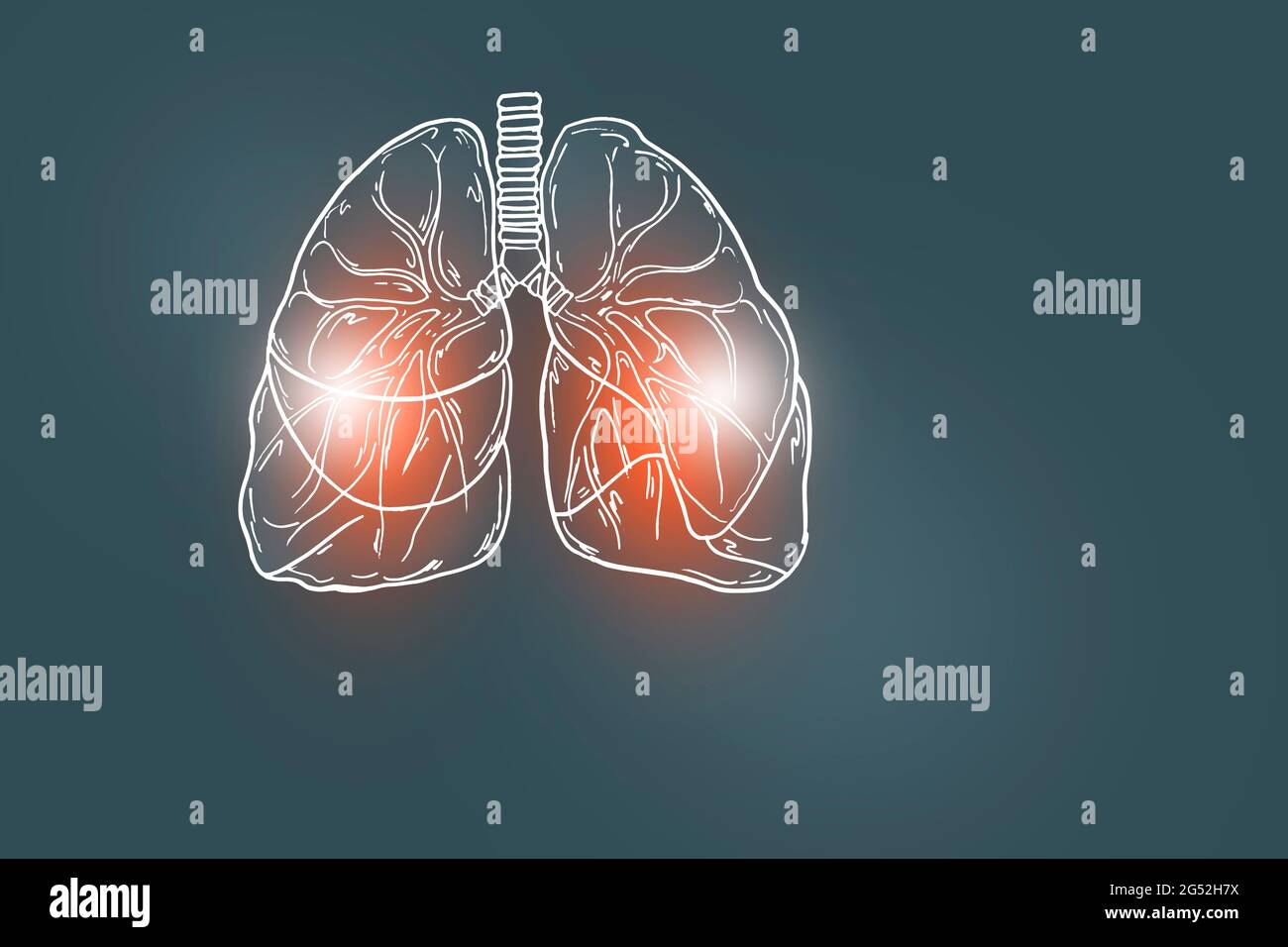 Illustrazione Handrawn dei polmoni umani su sfondo grigio scuro. Set medico-scientifico con i principali organi umani con spazio di copia vuoto per il testo Foto Stock