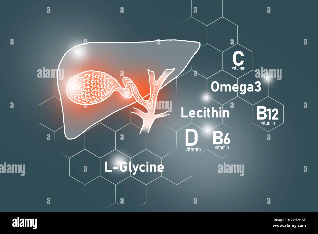 Nutrienti essenziali per la salute della vescica di gallina, tra cui Omega 3, L-glicina, Omega3, lecitina su sfondo grigio scuro. Foto Stock