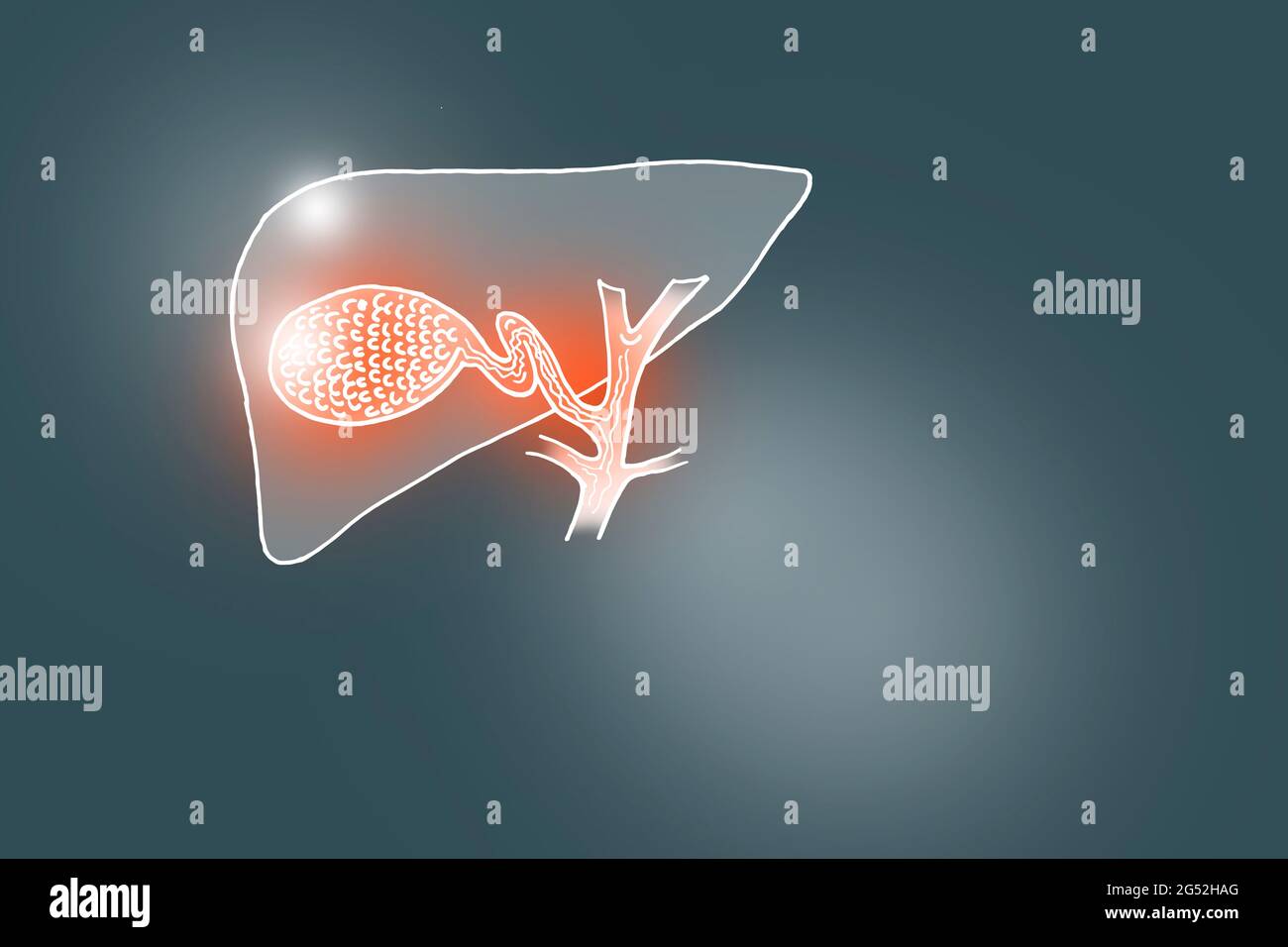 Illustrazione Handrawn della vescica di gallina umana su sfondo grigio scuro. Set medico-scientifico con i principali organi umani con spazio di copia vuoto per il testo Foto Stock