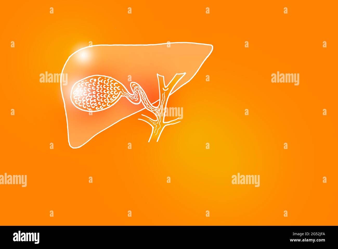 Illustrazione Handrawn della vescica di gallina umana su sfondo arancione positivo. Set medico-scientifico con i principali organi umani con spazio di copia vuoto per il testo Foto Stock