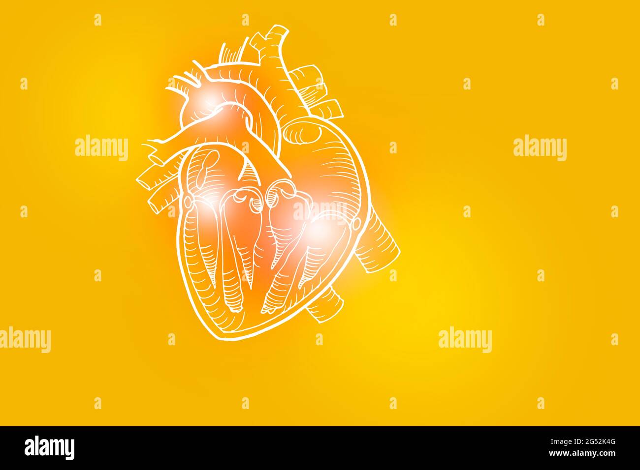 Handrawn illustrazione del cuore umano su sfondo giallo. Set medico-scientifico con i principali organi umani con spazio di copia vuoto per testo o infografica. Foto Stock