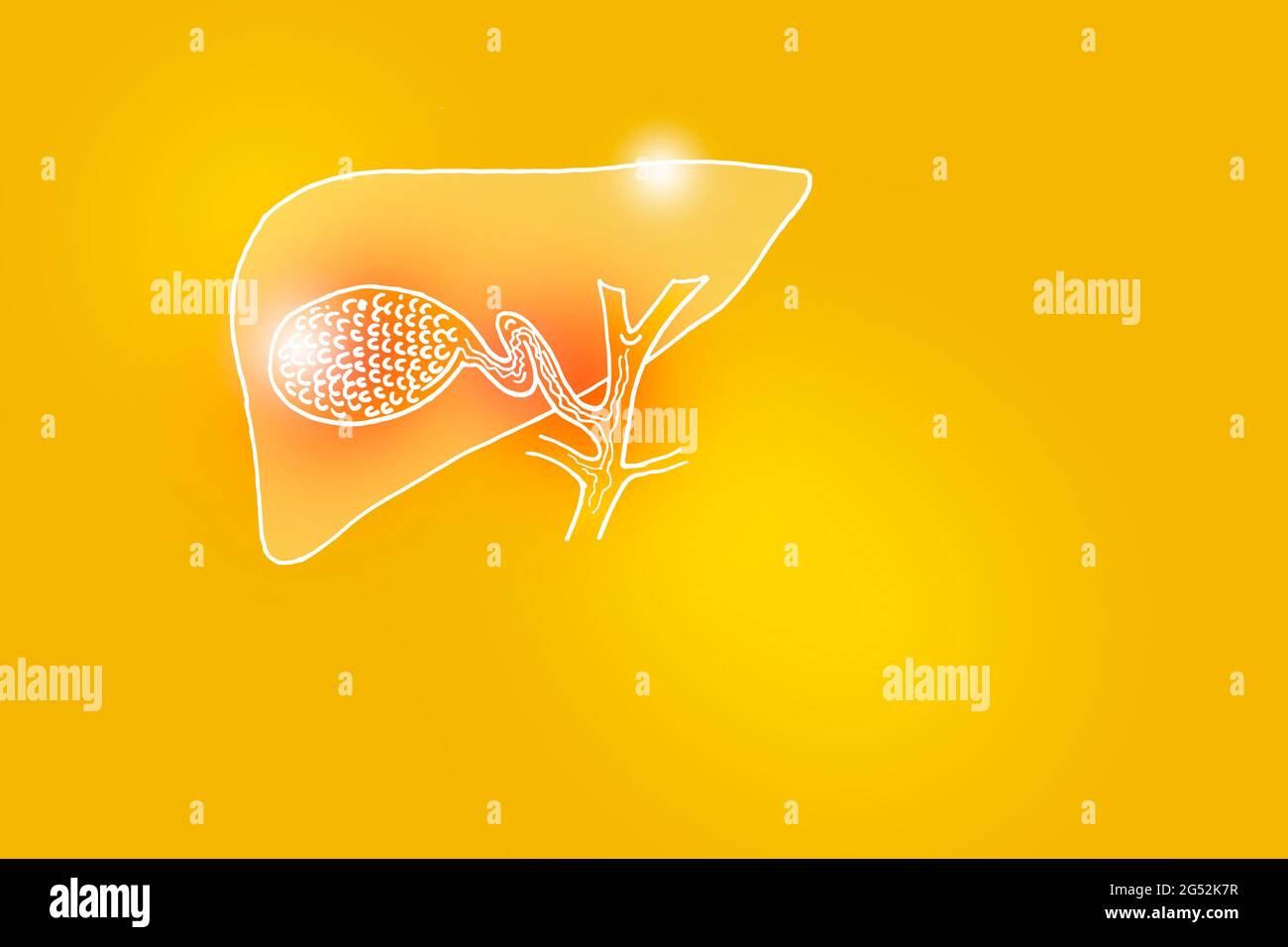 Illustrazione Handrawn della vescica di gallina umana su sfondo giallo. Set medico-scientifico con i principali organi umani con spazio di copia vuoto per il testo Foto Stock