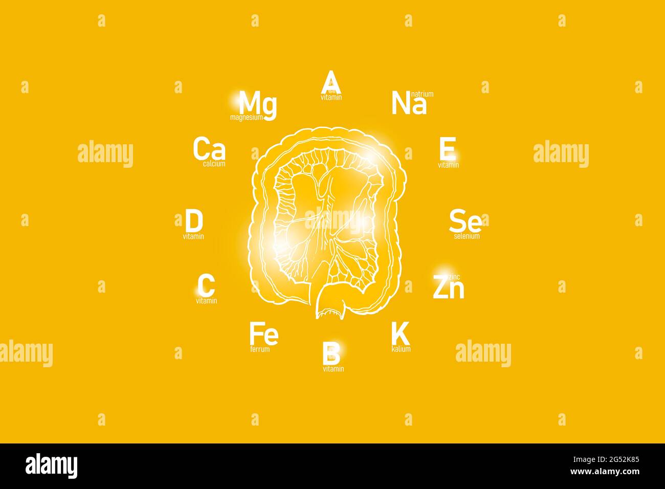 Clockface stilizzato con vitamine essenziali e microelementi per la salute umana, intestino disegnato a mano, sfondo giallo. Foto Stock