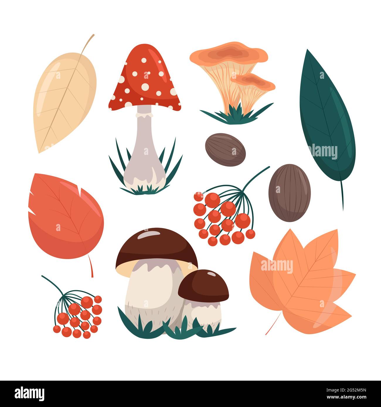 Set di foglie e funghi autunnali in stile piatto, oggetti vettoriali isolati Illustrazione Vettoriale