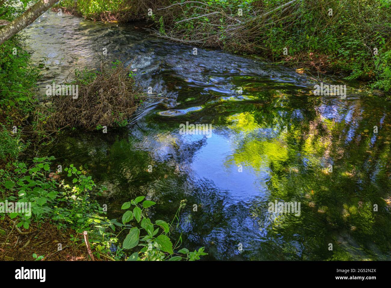 Piccole rapide increspano la superficie del torrente che scorre tranquillamente tra la lussureggiante vegetazione. Molise, Italia, Europa Foto Stock