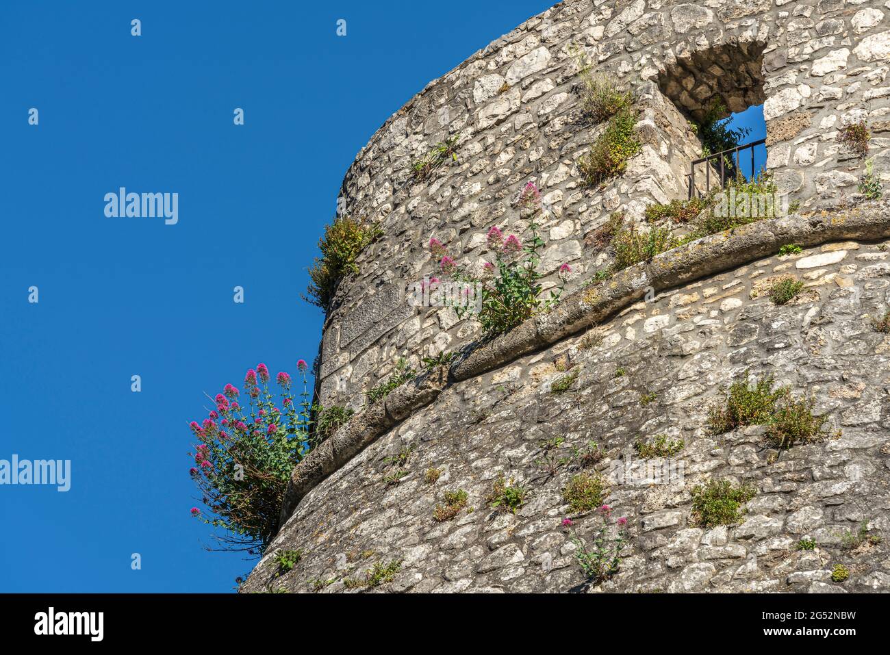 Particolare della torre del castello di Cerro al Volturno. Erba e fiori crescono lungo le mura della fortezza. Cerro al Volturno, Molise Foto Stock