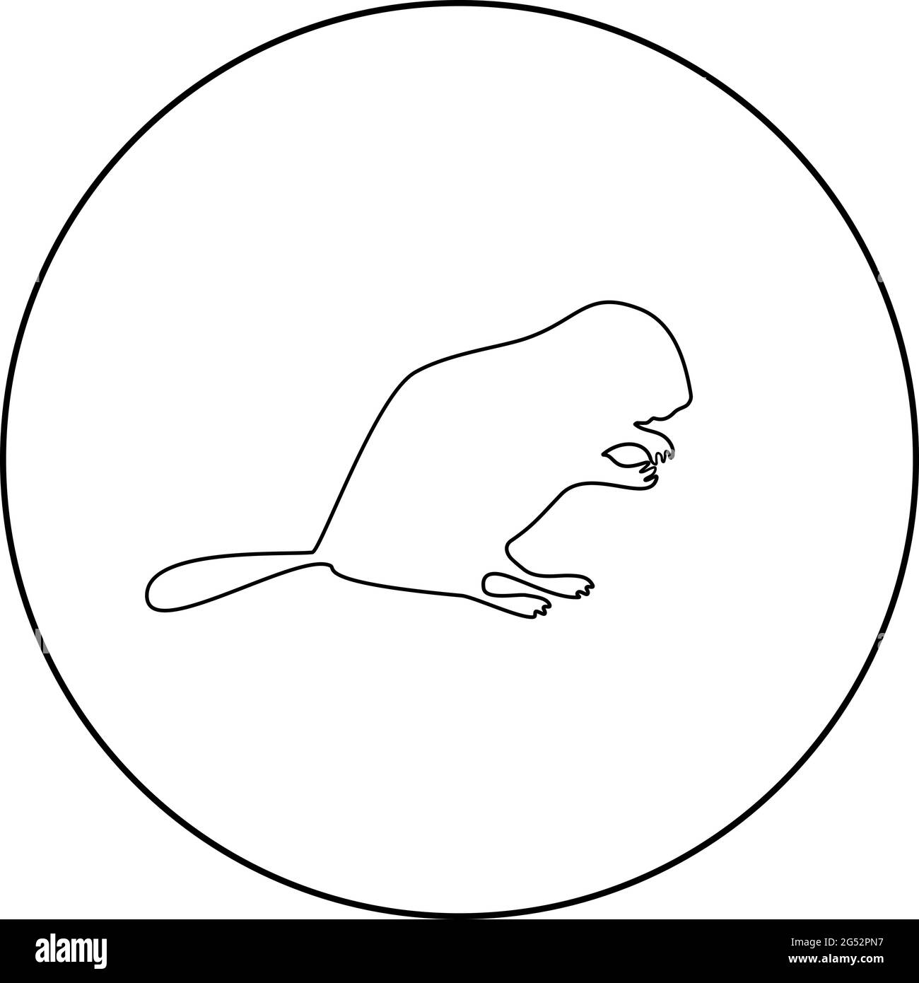 Beaver animal Rodent silhouette in cerchio tondo nero colore vettore illustrazione contorno contorno stile immagine semplice Illustrazione Vettoriale