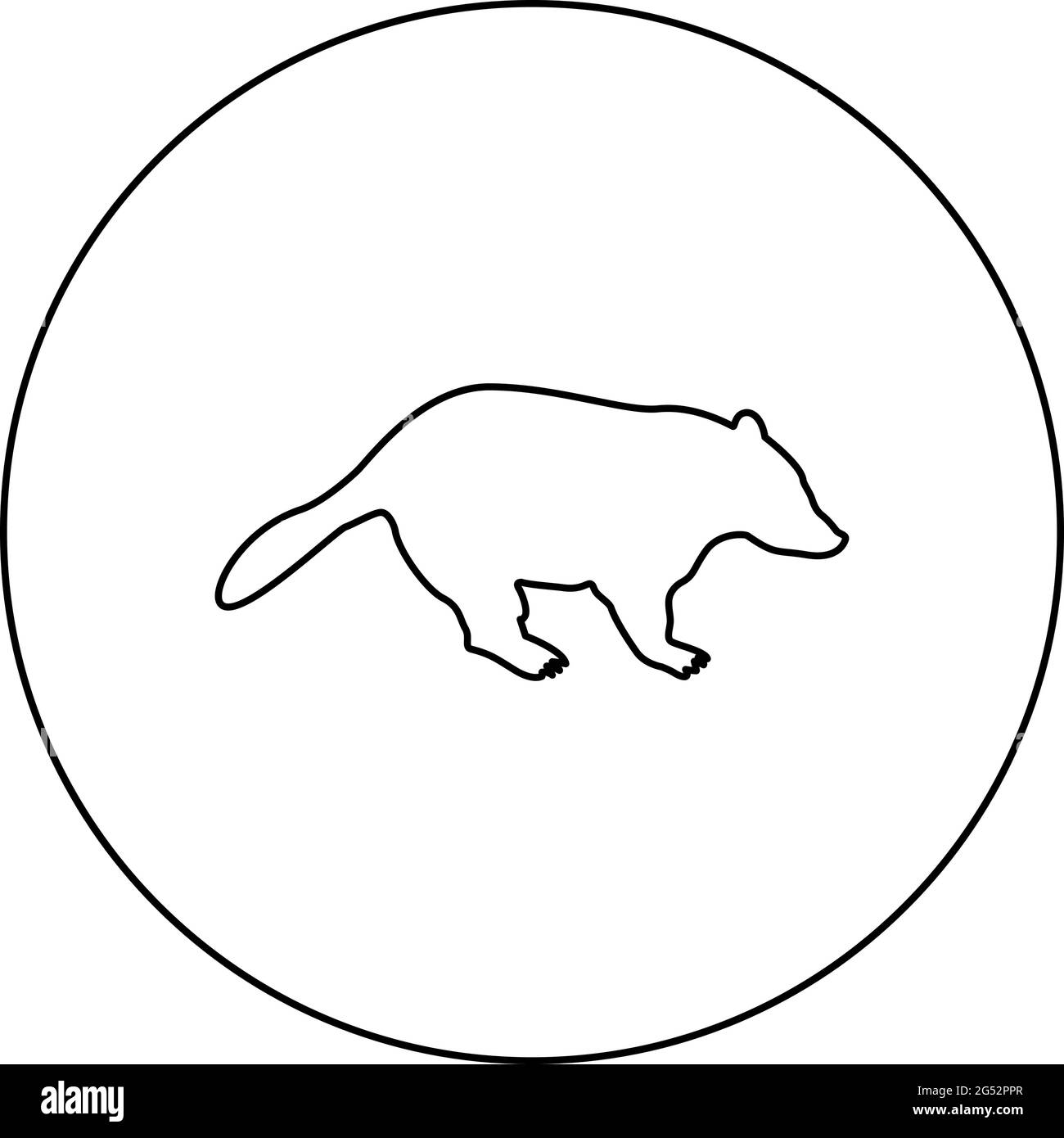 Badger animale selvaggio Meles Taxus predatore famiglia di mammiferi kunihih Carnivore silhouette in cerchio rotondo nero colore vettore illustrazione contorno Illustrazione Vettoriale