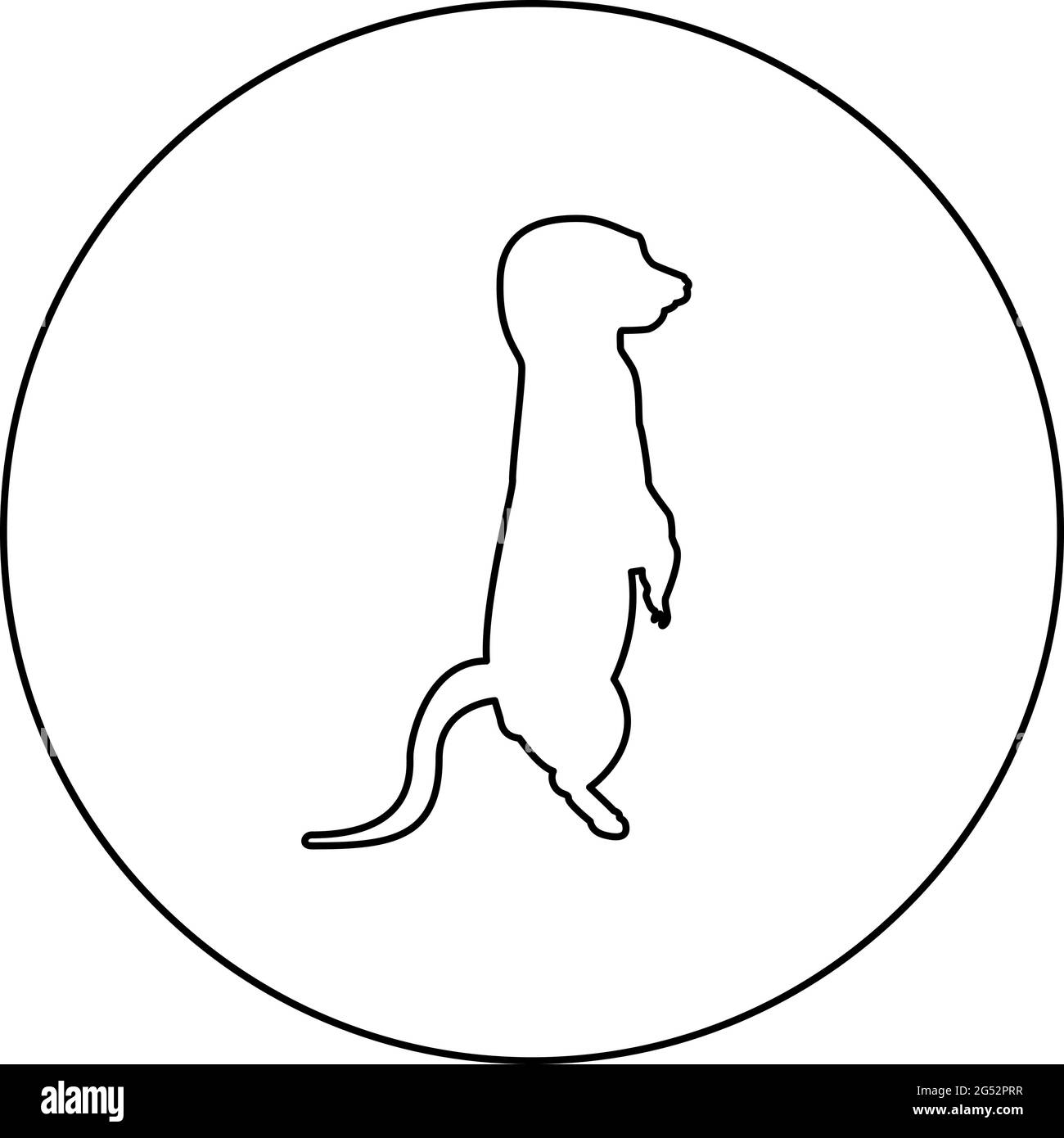 Meerkat in posa Suricata Suricatta silhouette in cerchio tondo nero colore vettore illustrazione contorno contorno contorno stile immagine semplice Illustrazione Vettoriale