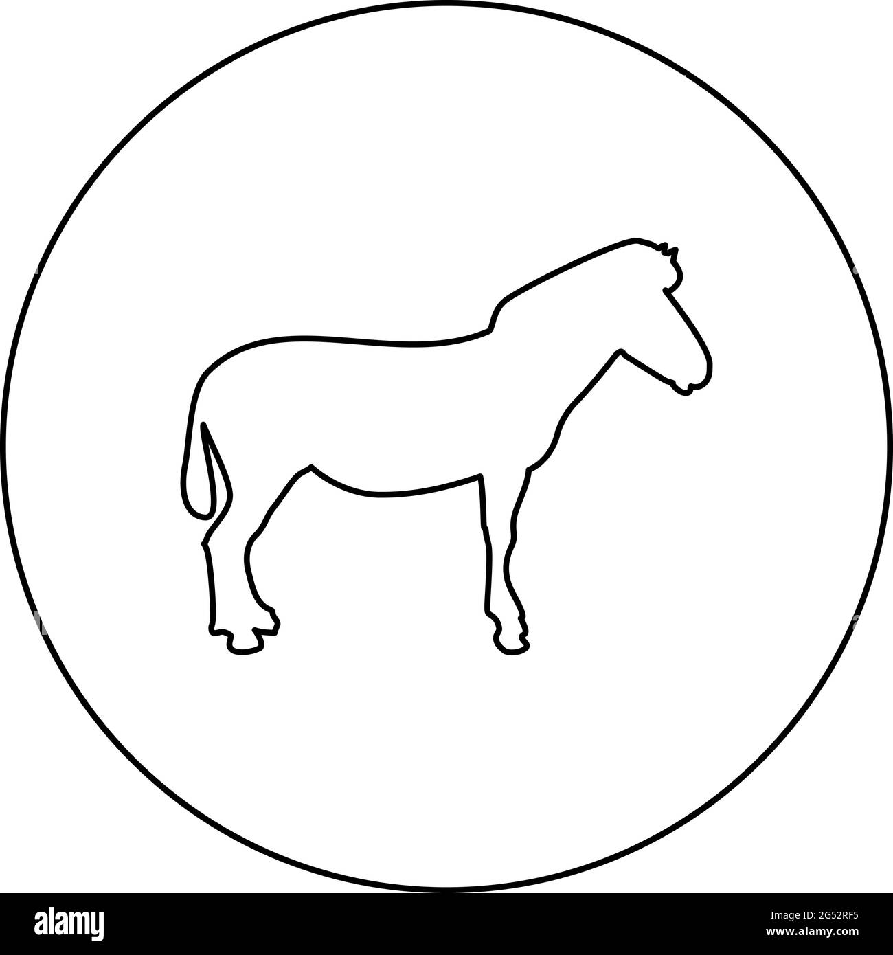 Stativo Zebra silhouette animale in cerchio tondo nero colore vettore illustrazione contorno contorno stile immagine semplice Illustrazione Vettoriale