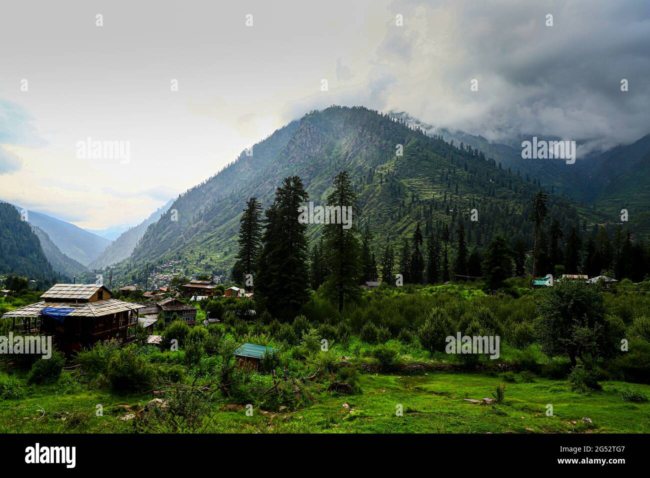 vista panoramica delle montagne himalyan e albero verde dal kasol. Foto Stock