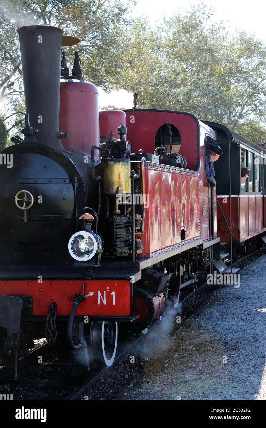 FRANCIA, SOMME (80) COTE D'OPALE E BAIE DE SOMME, LE CROTOY, LA FERROVIA A SCARTAMENTO RIDOTTO DELLA BAIA DI SOMME O CHEMIN DE FER DE LA BAIE DE SOMME AL TERMINE Foto Stock