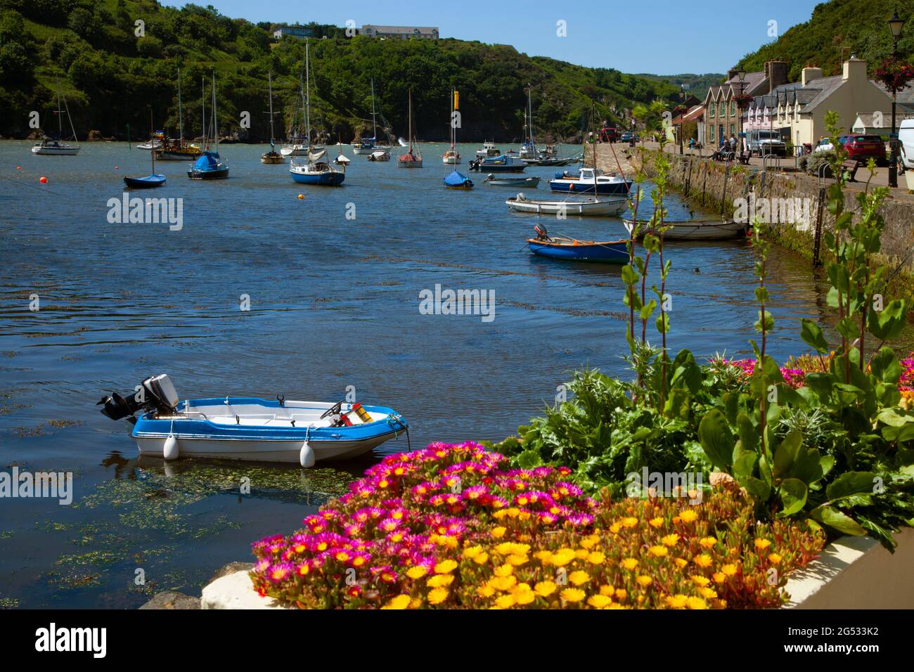 Lower Fishguard Harbour Pembrokeshire, Galles, UK barca giallo e fiori rossi in primo piano in estate, foto diurna, spazio copia, cielo blu, estate, giorno Foto Stock