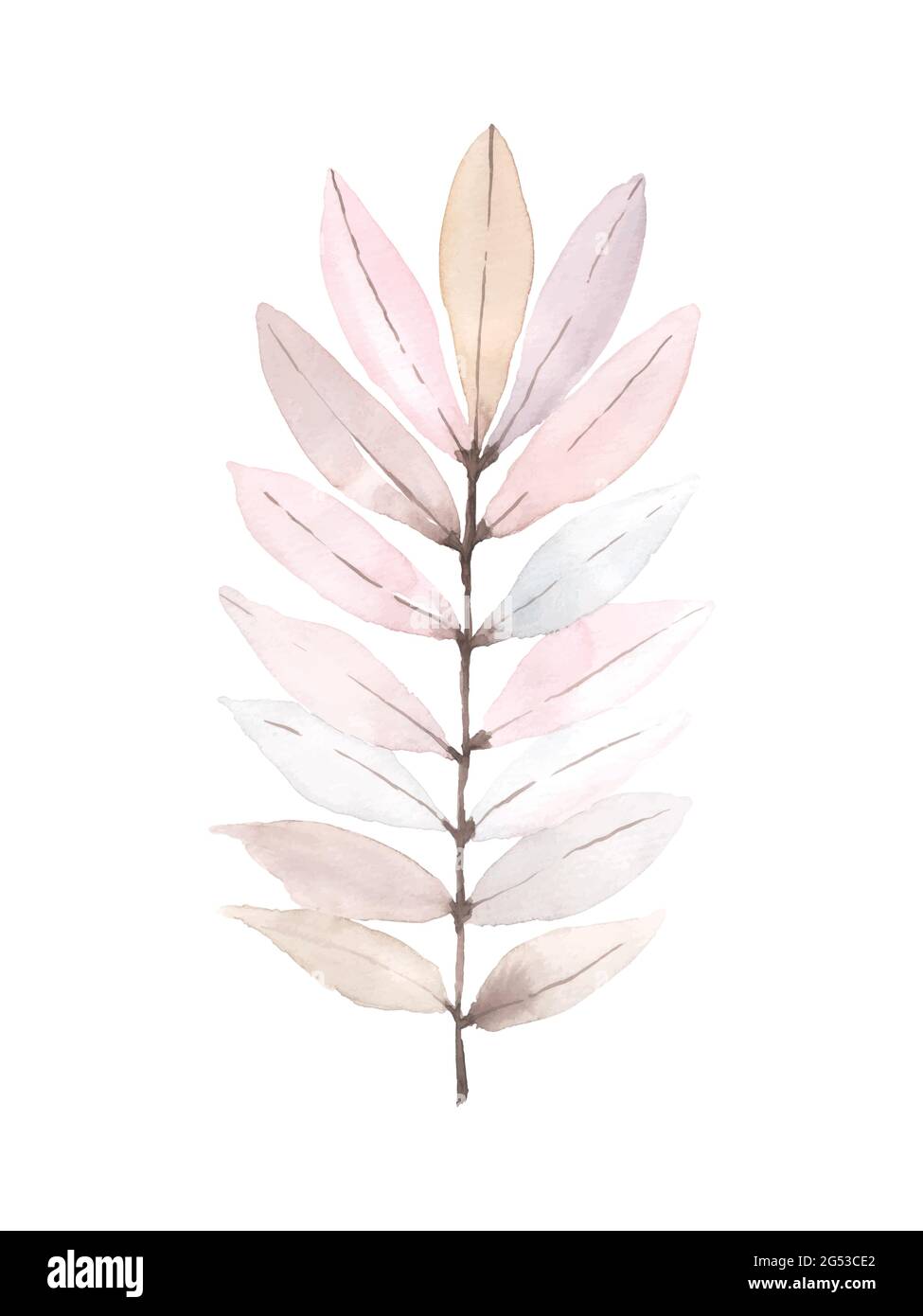 L'illustrazione dipinta a mano delle foglie di acquerello. Gli elementi delle foglie multicolore sono isolati su sfondo bianco. Illustrazione Vettoriale