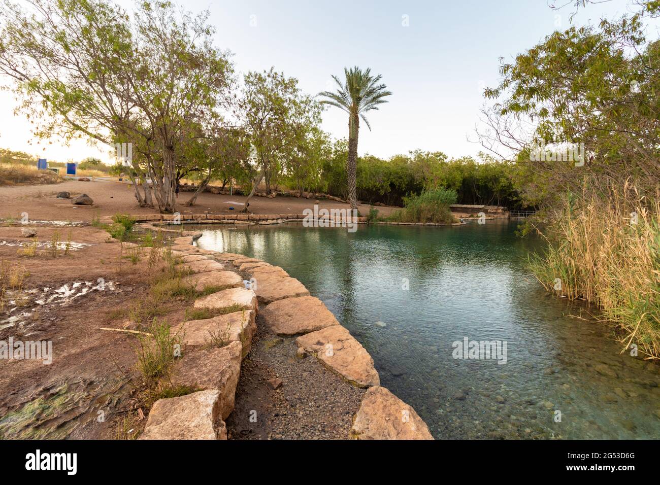 Una enorme piscina di acqua di sorgente cristallina sullo sfondo di una palma, nella Valle delle sorgenti - Israele. Foto Stock