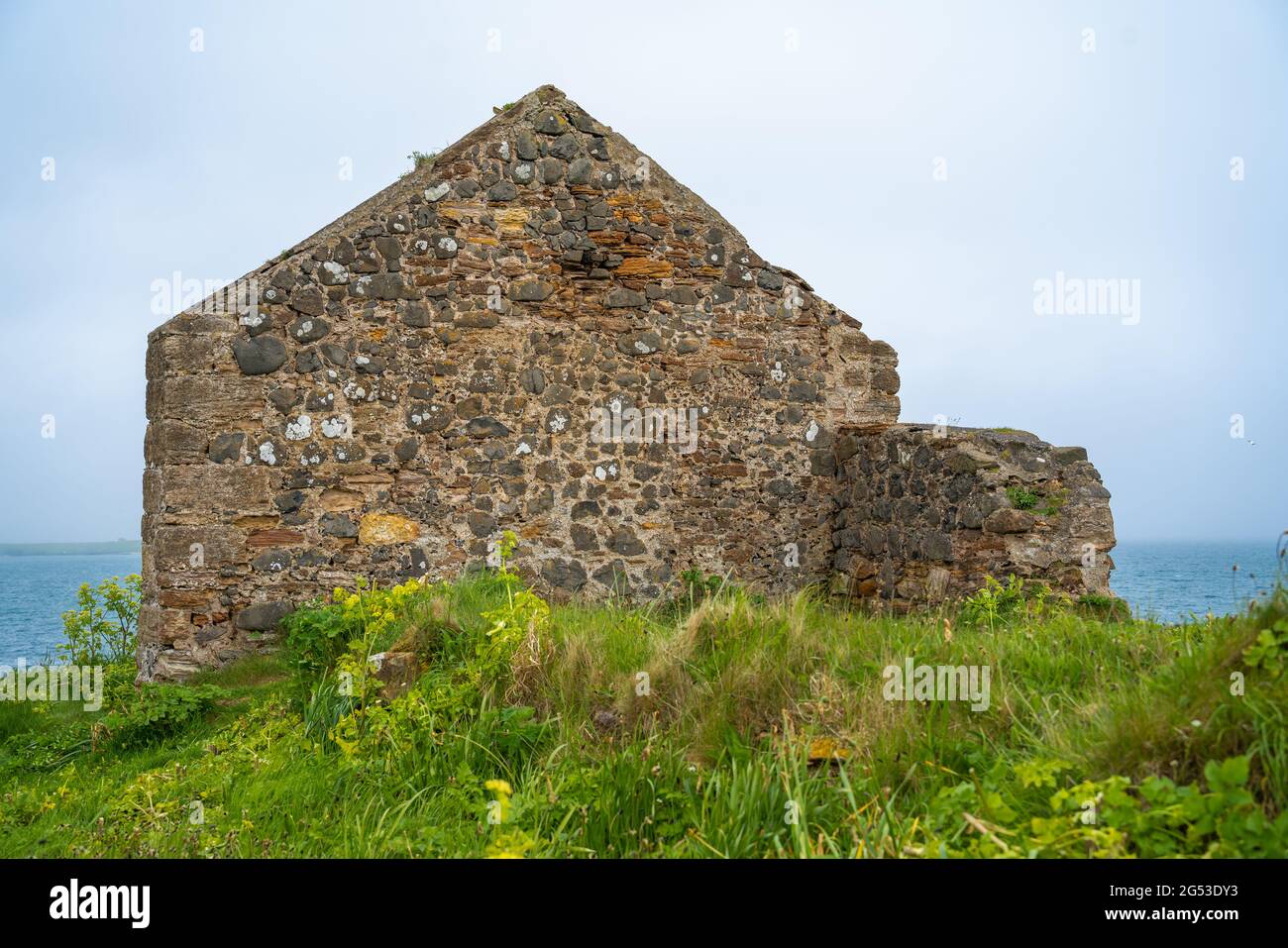 Vento linea di albero spazzato, recinzione bianca, erba, nuvole scure, distanza, Spring UK, Scottish Coast line, campo da golf, cani al piombo, tenuti da palle da golf. Foto Stock