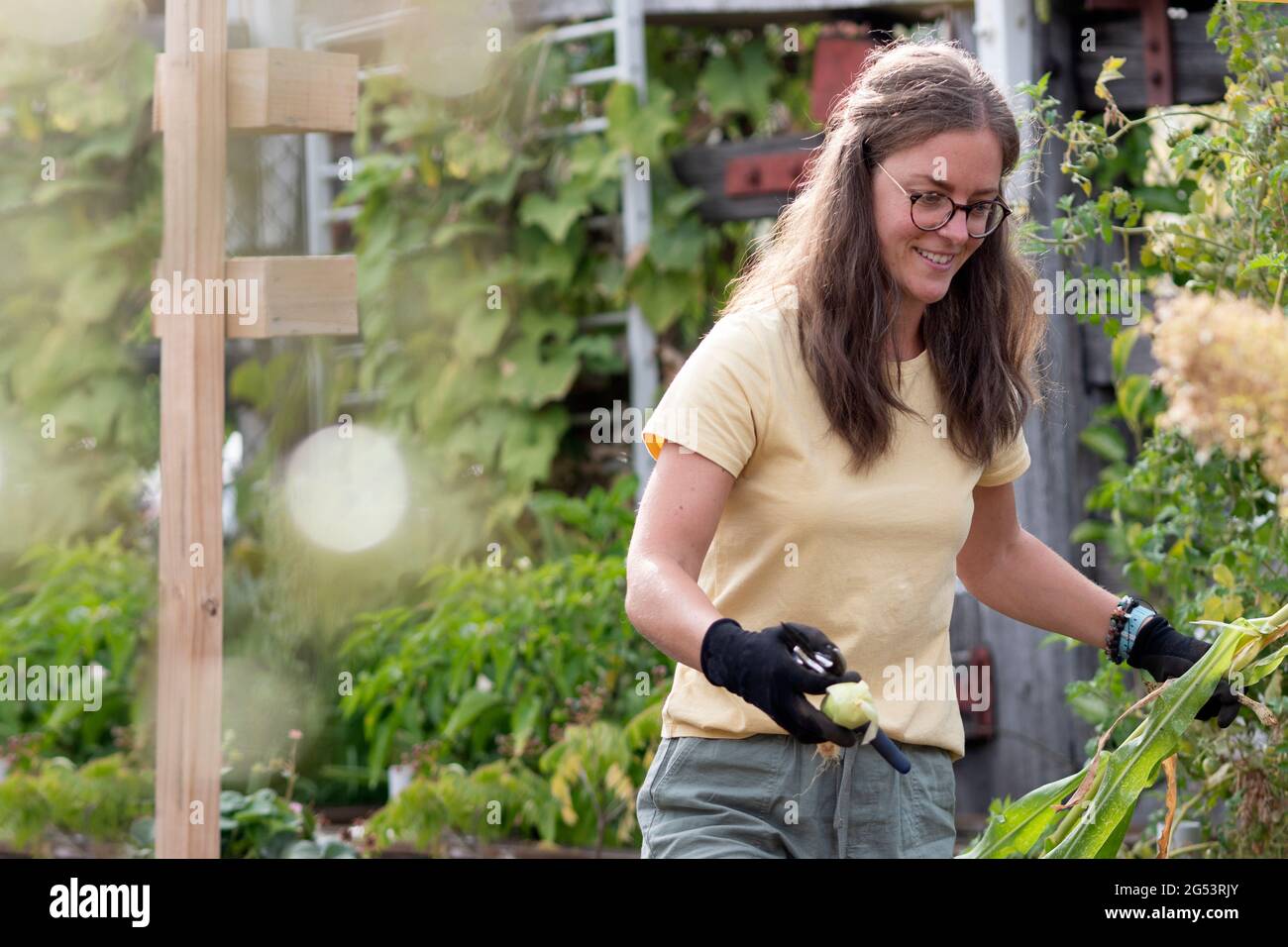 Australia, Melbourne, sorridente donna che lavora nel giardino della comunità Foto Stock