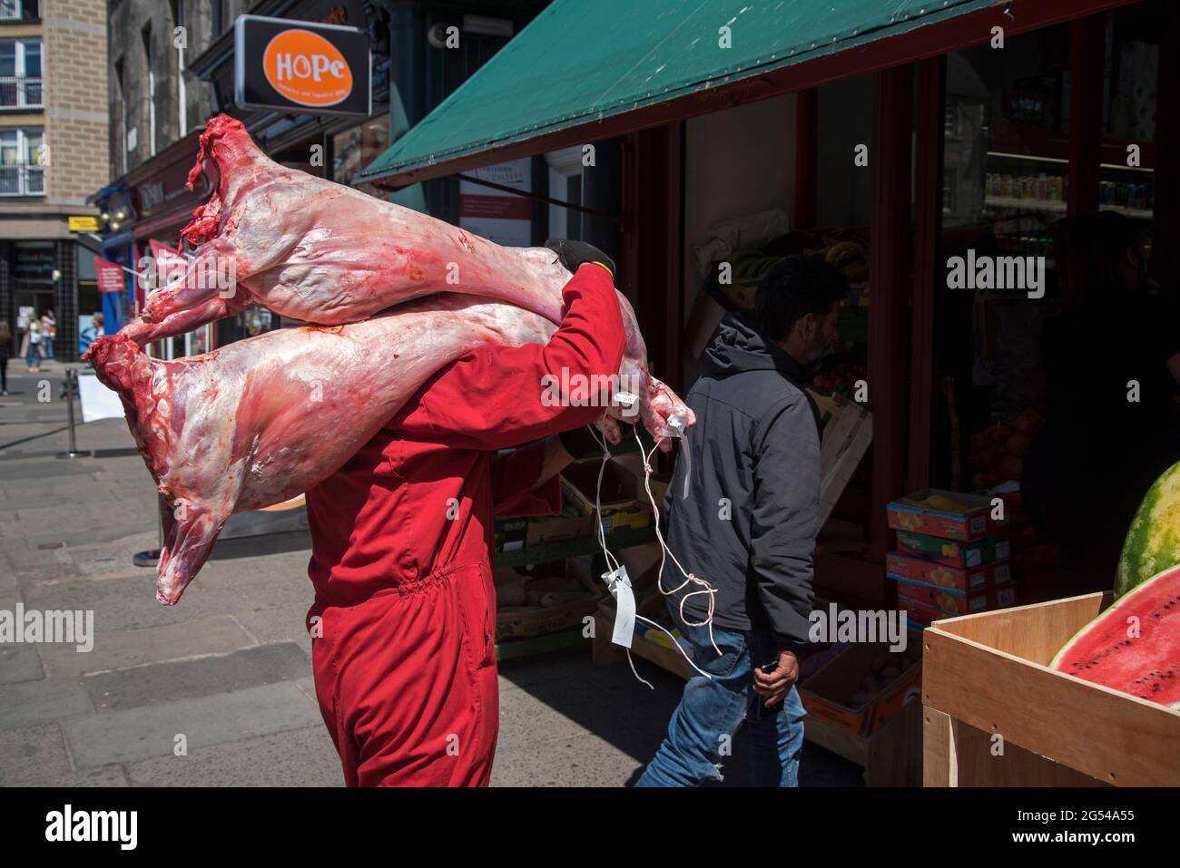Le carcasse di pecora vengono consegnate in un minimarket etnico a Newington, Edimburgo, Scozia, Regno Unito. Foto Stock